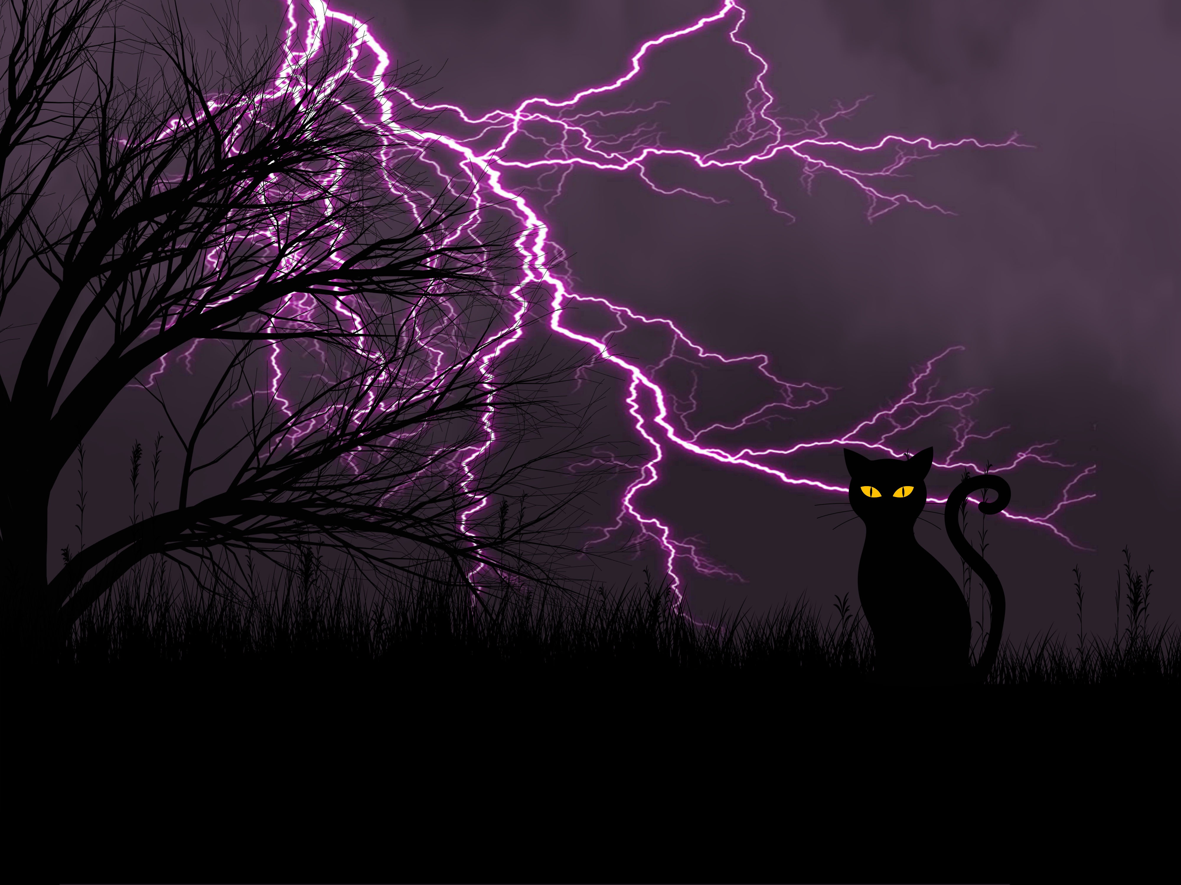 lightning, art, night, grass, black cat