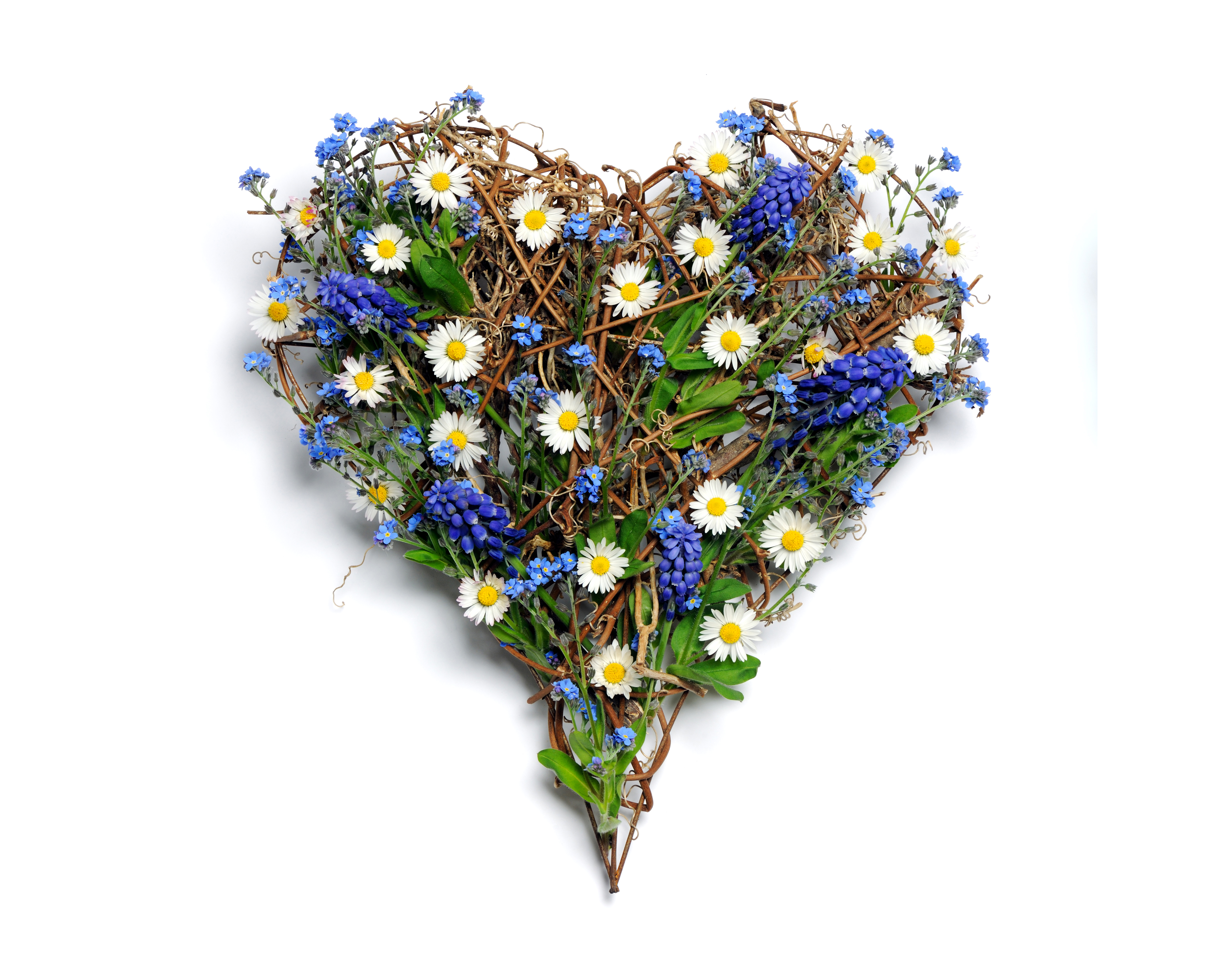 HD desktop wallpaper Love Flower Heart Artistic White Flower Blue  Flower download free picture 753942