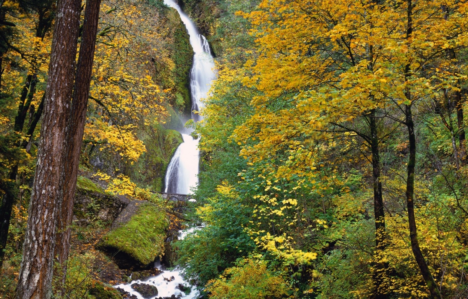 Скачать обои бесплатно Деревья, Пейзаж, Водопады, Осень картинка на рабочий стол ПК