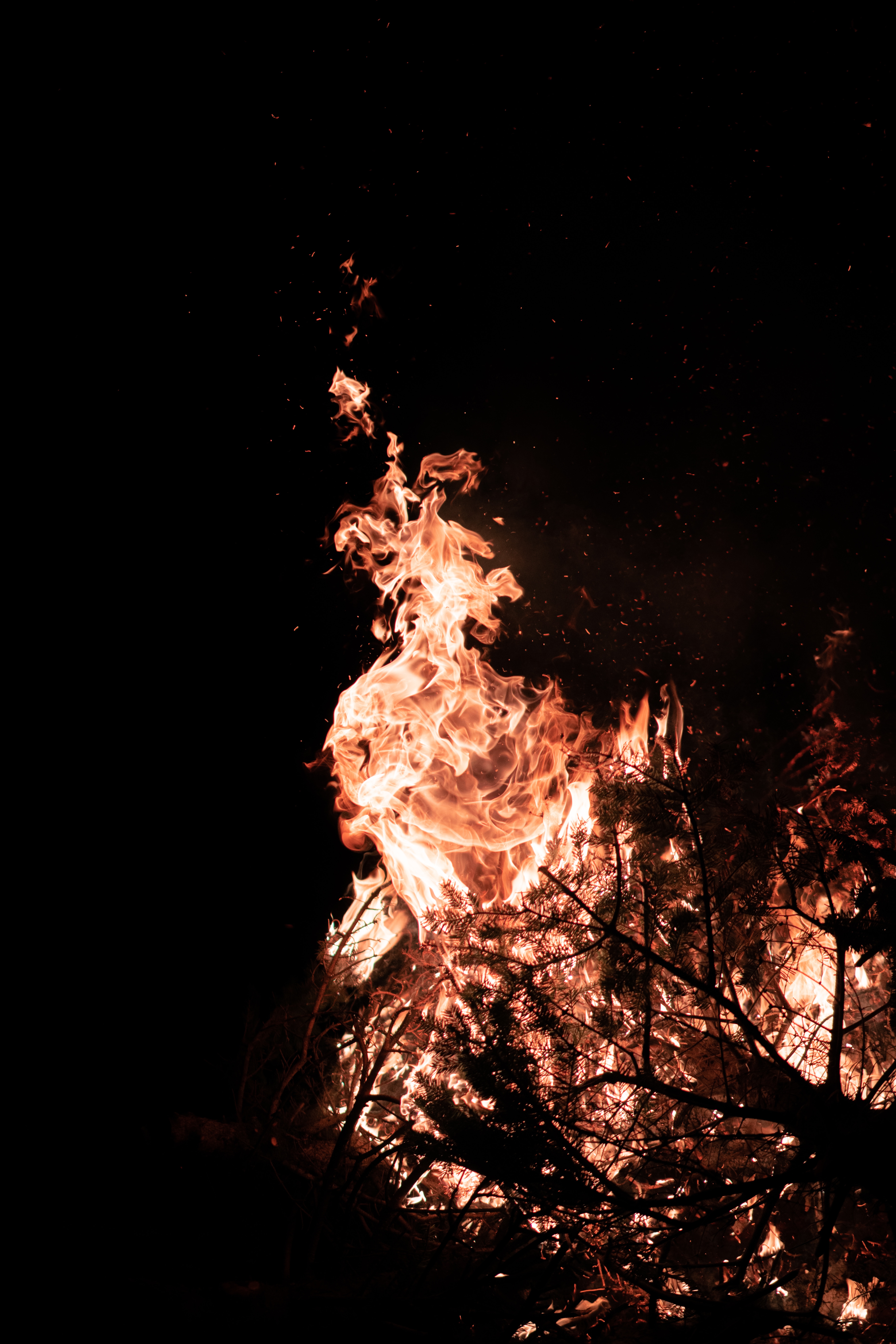 Laden Sie das Feuer, Bonfire, Geäst, Zweige, Flamme, Dunkel-Bild kostenlos auf Ihren PC-Desktop herunter