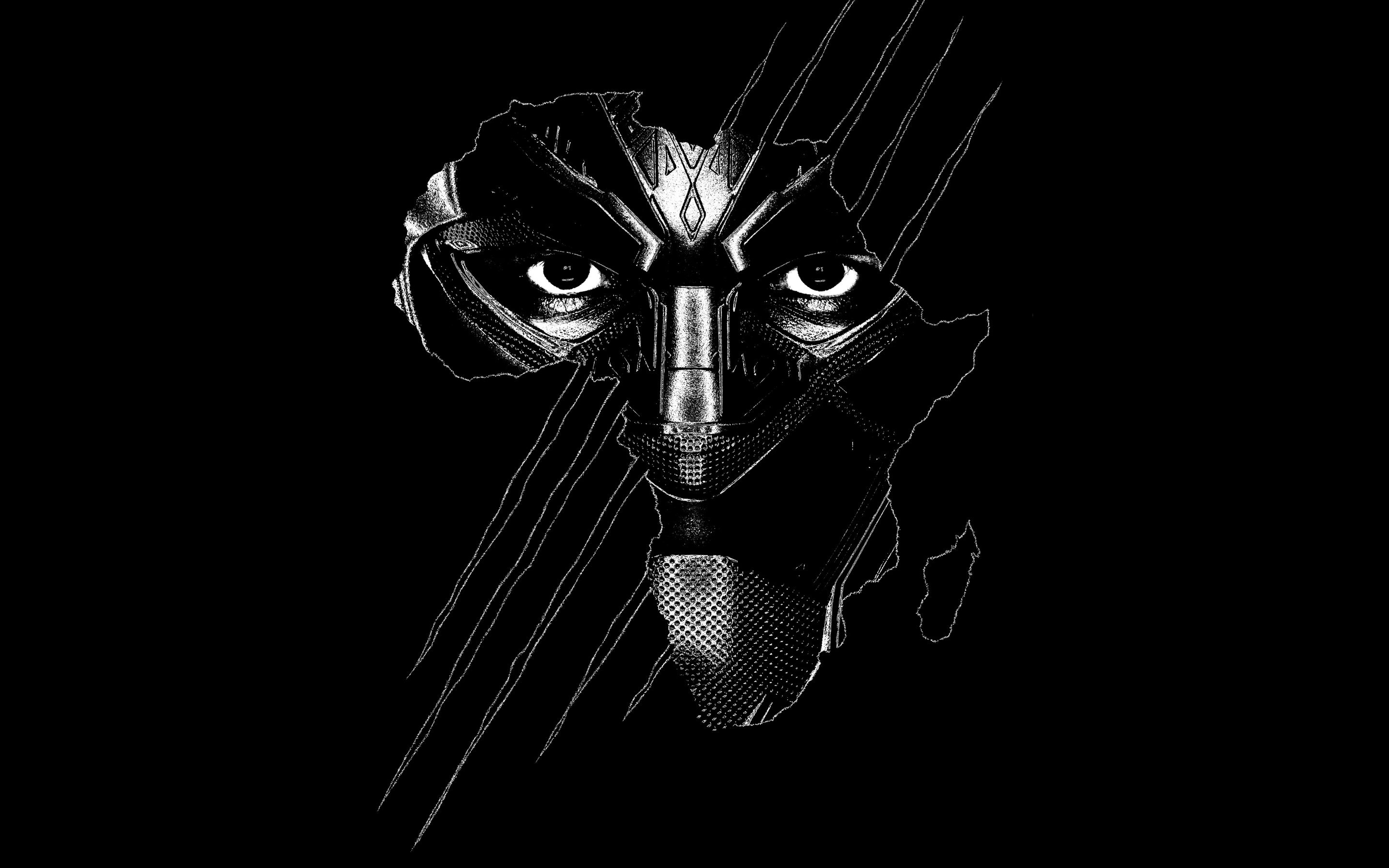 Black Panther Ultra . Background HD wallpaper | Pxfuel