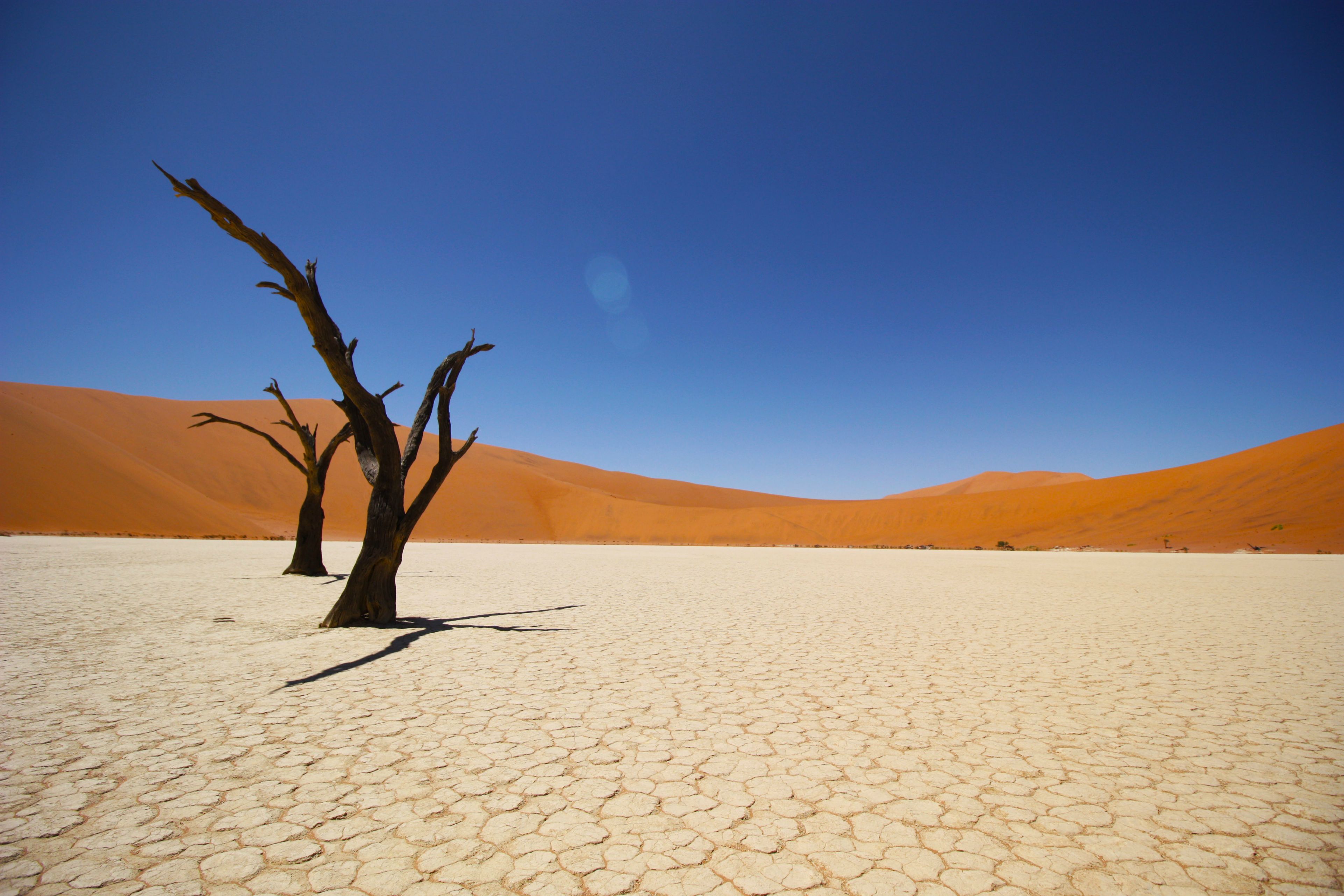 Пустыня Намиб HD