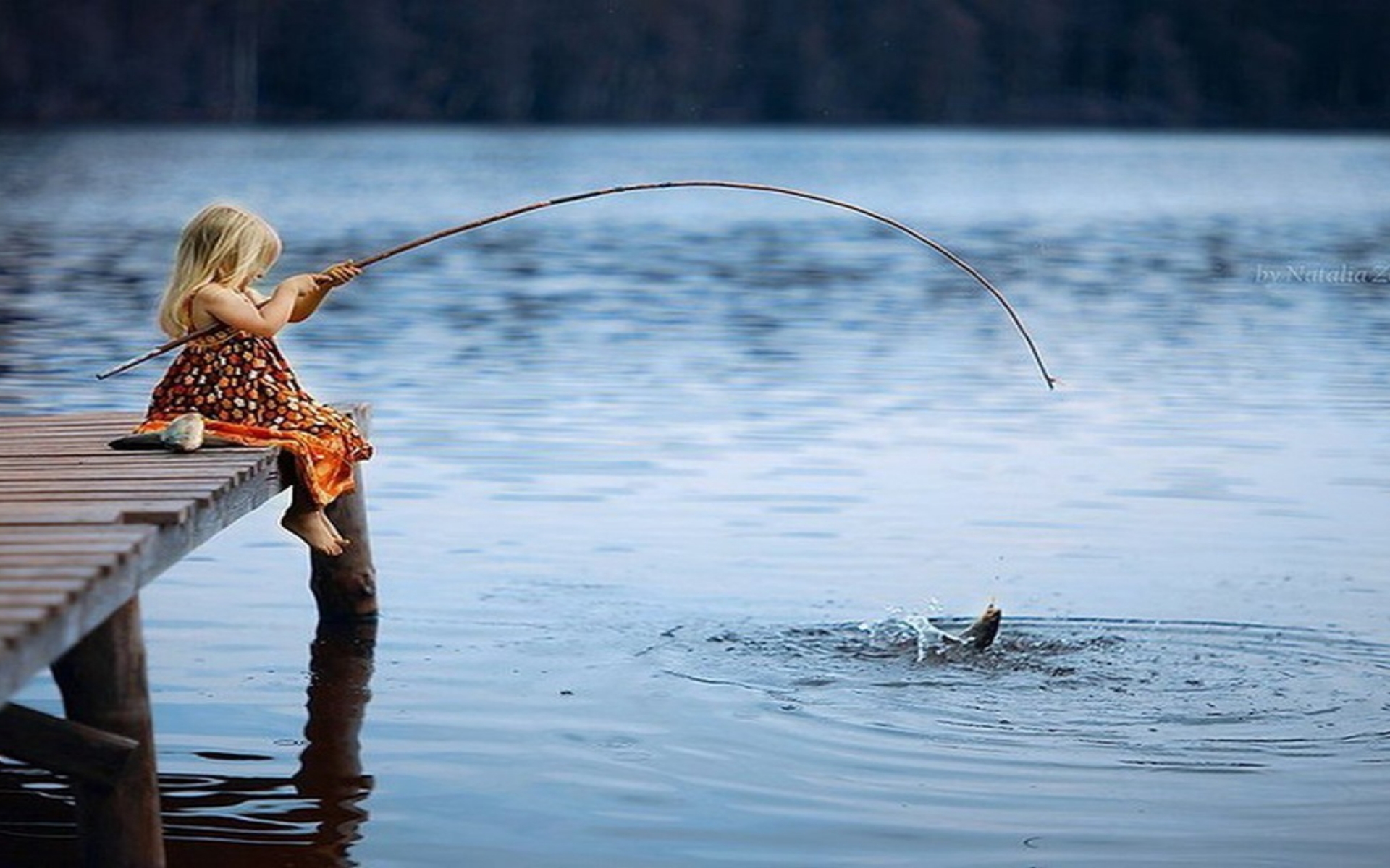 картинки про рыбака и рыбку