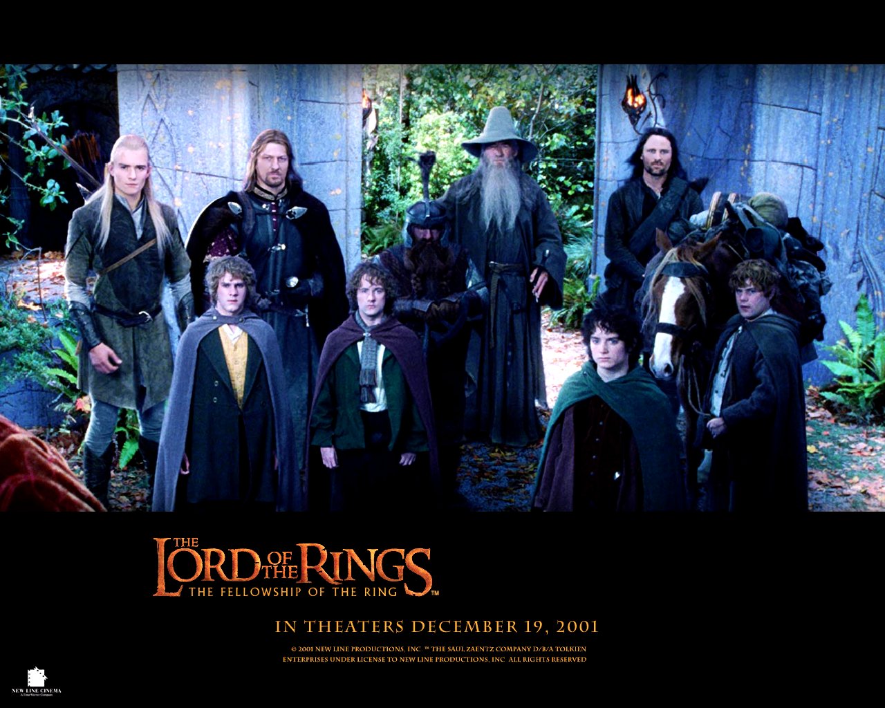 the lord of the rings: the fellowship of the ring, movie