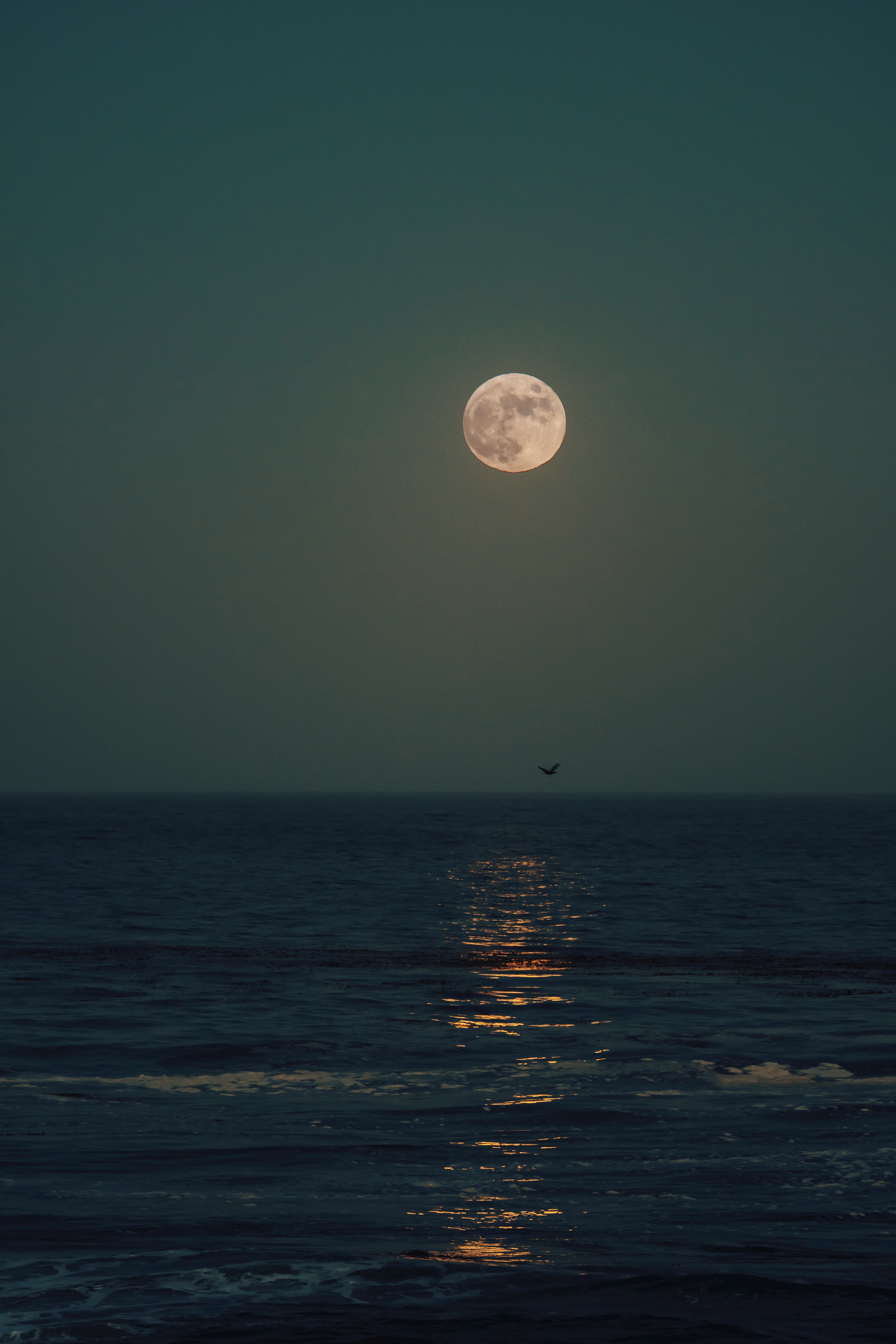 moon, horizon, sea, nature, night, glare