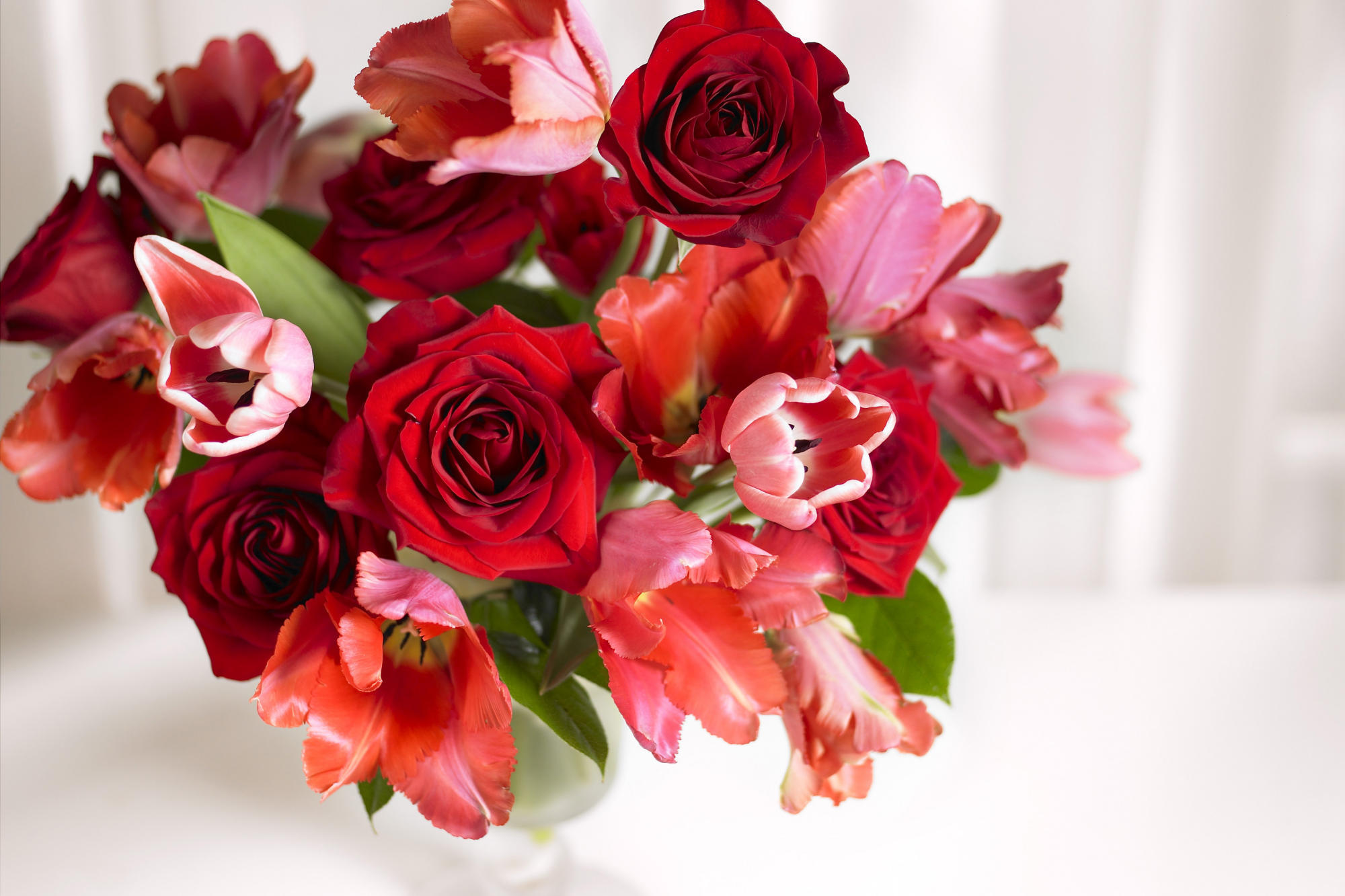 Baixe gratuitamente a imagem Plantas, Flores, Rosas, Bouquets na área de trabalho do seu PC