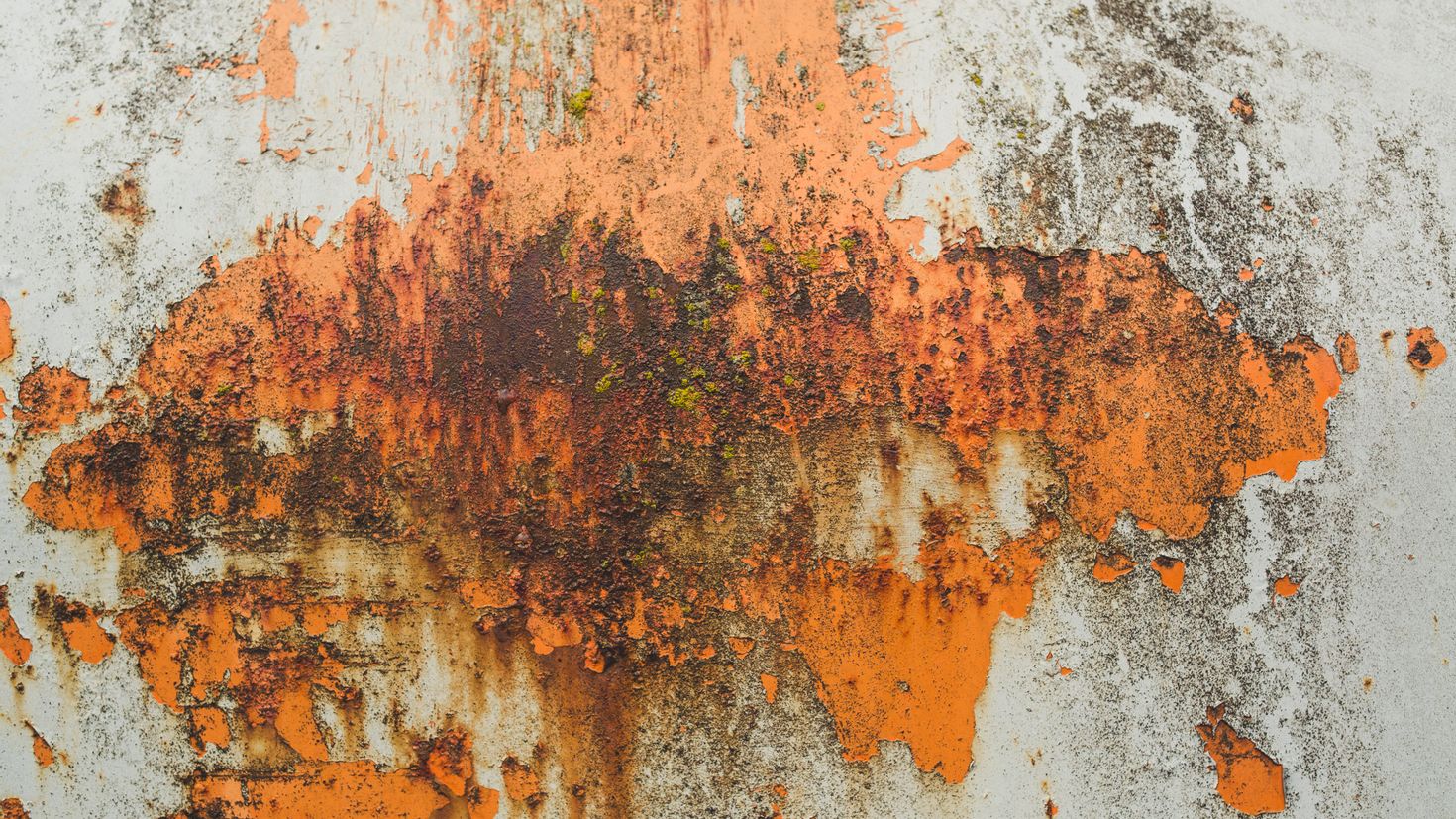 Rust paint фото 70