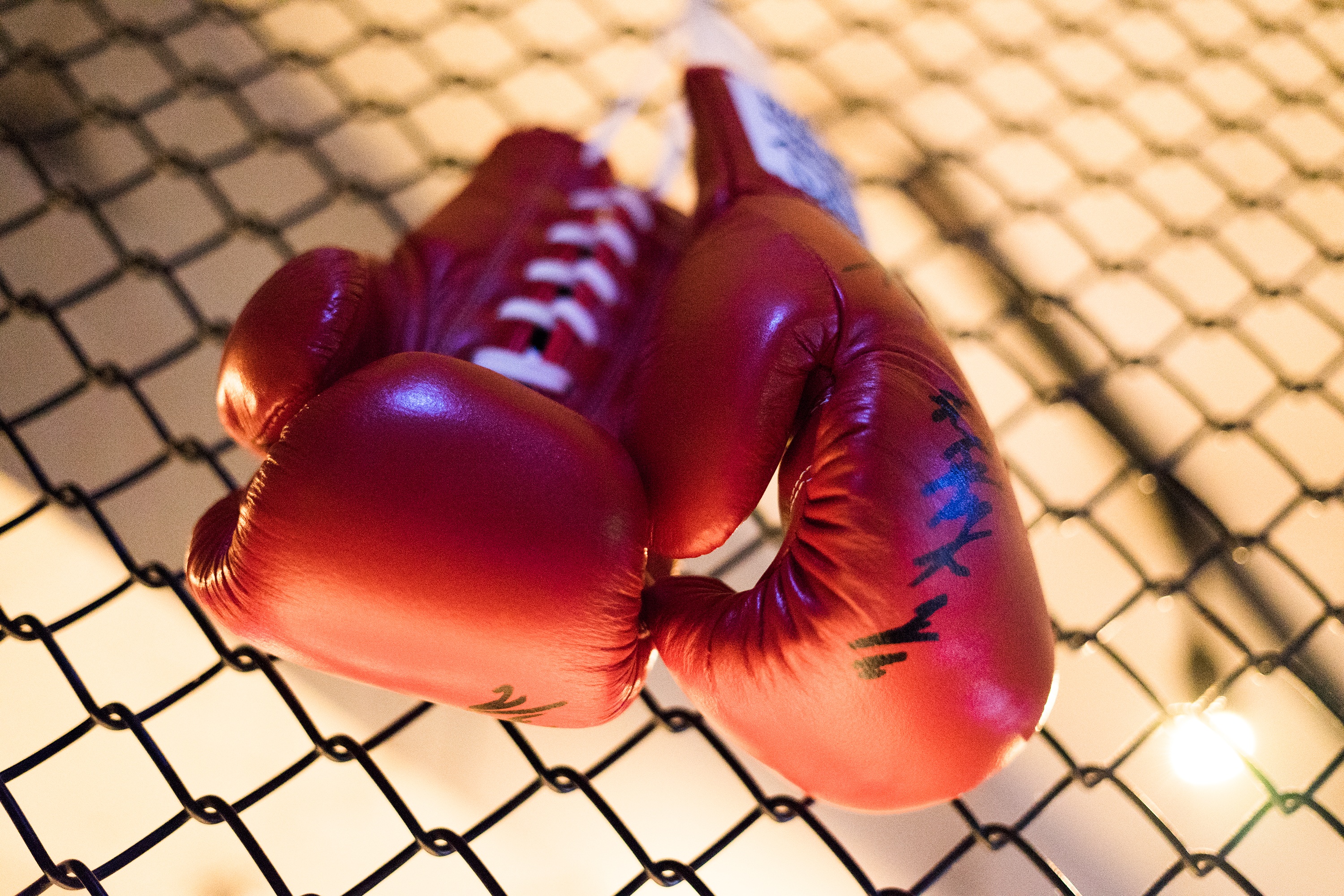 fight, boxing, sports, struggle, boxing gloves