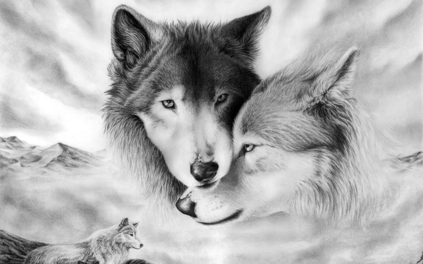 animals, gray, pictures, wolfs