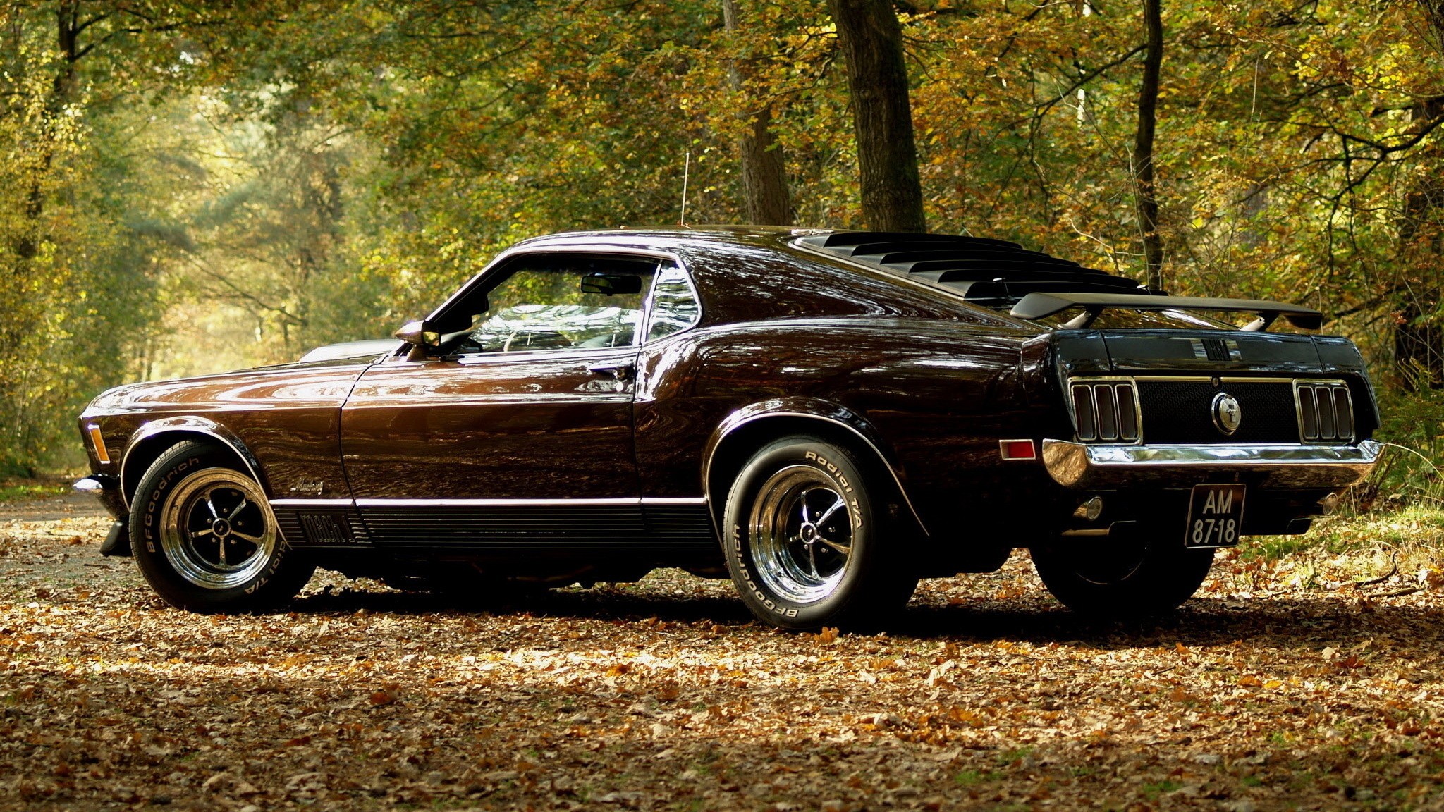 ford mustang mach 1, muscle car, vehicles, fastback, ford Phone Background