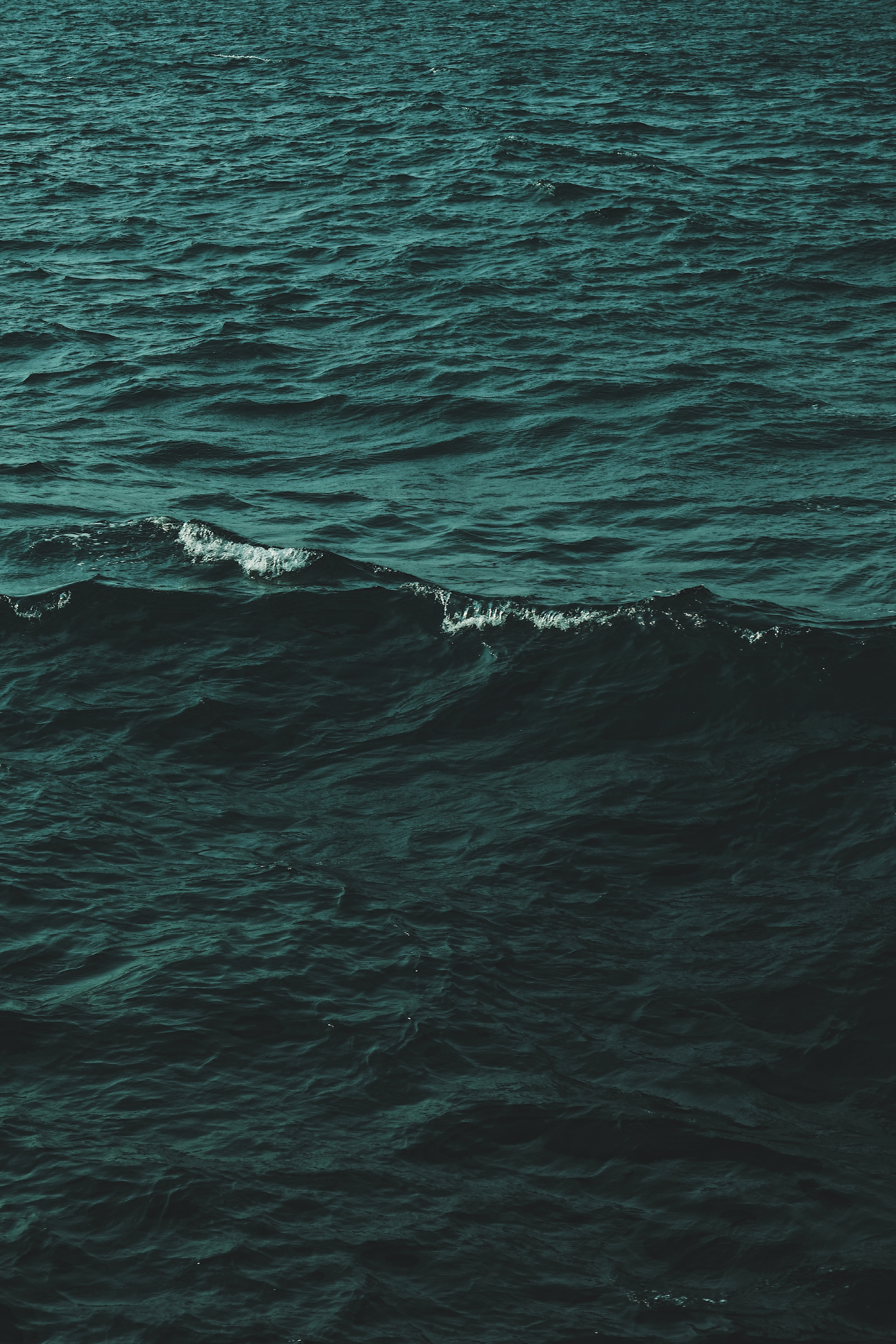 nature, water, sea, ripples, ripple, ocean, wave HD wallpaper