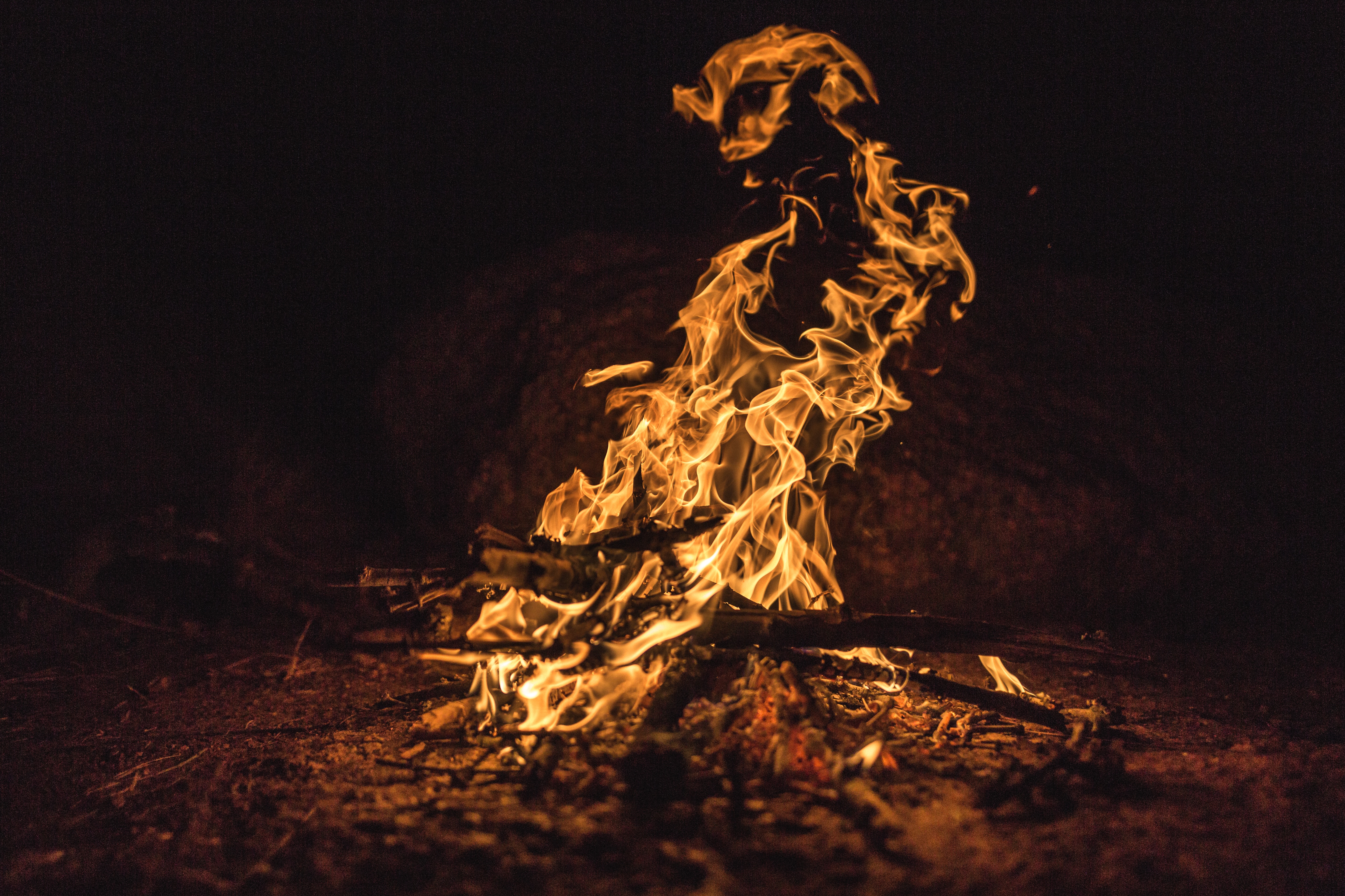 firewood, fire, bonfire, dark, flame, ash