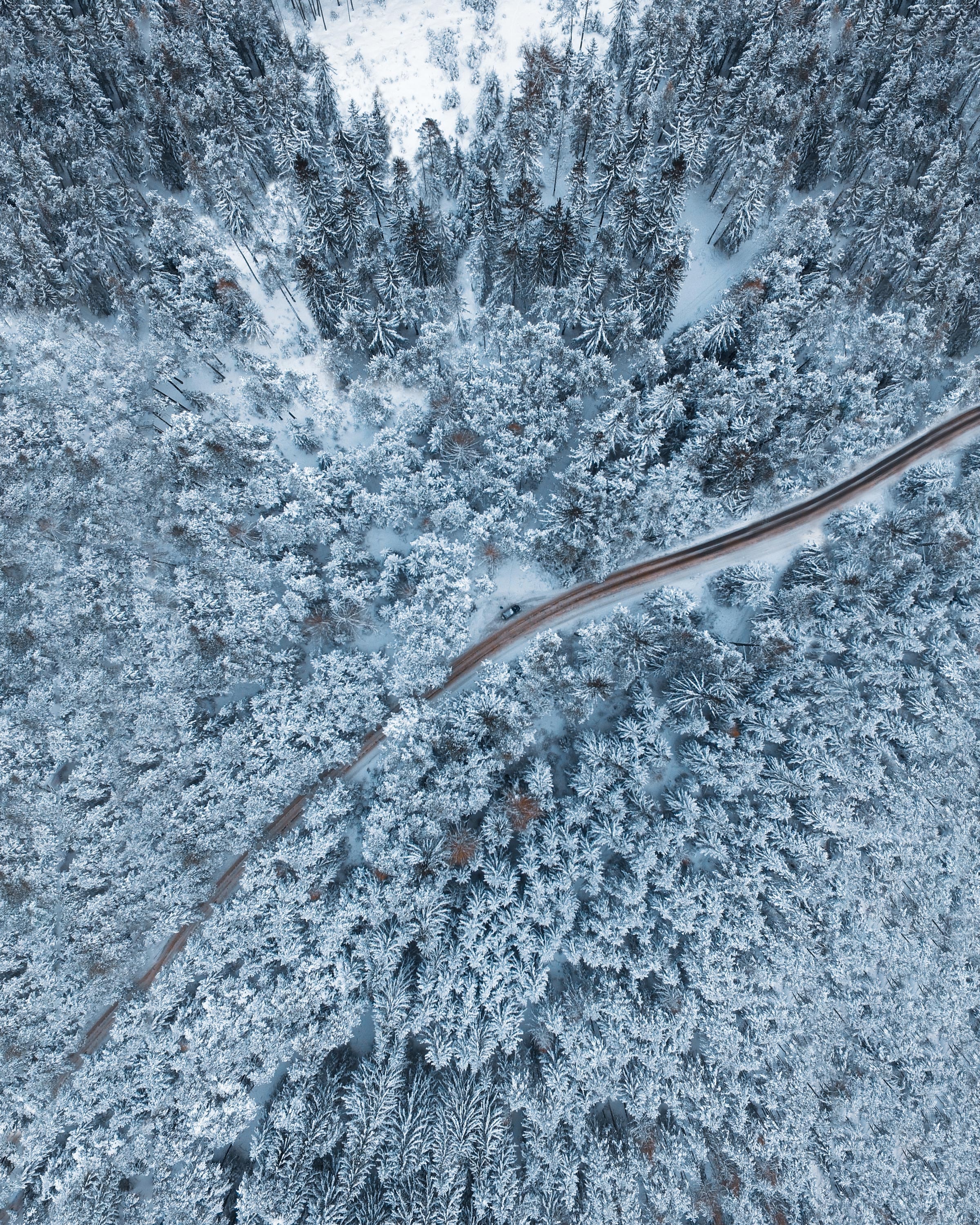 wallpapers winter, snowbound, nature, trees, snow, view from above, forest, snow covered