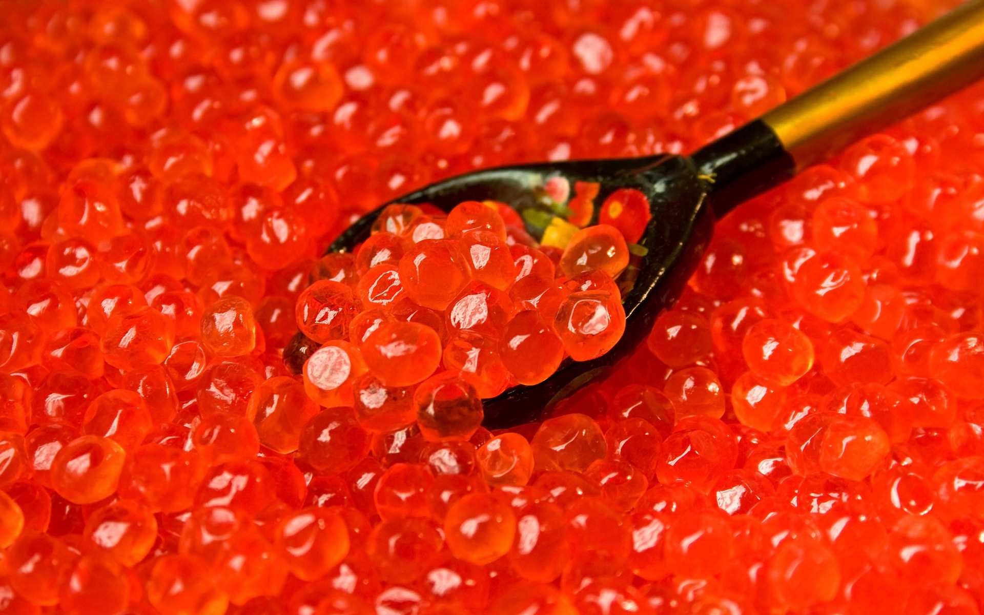 Die besten Kaviar-Hintergründe für den Telefonbildschirm