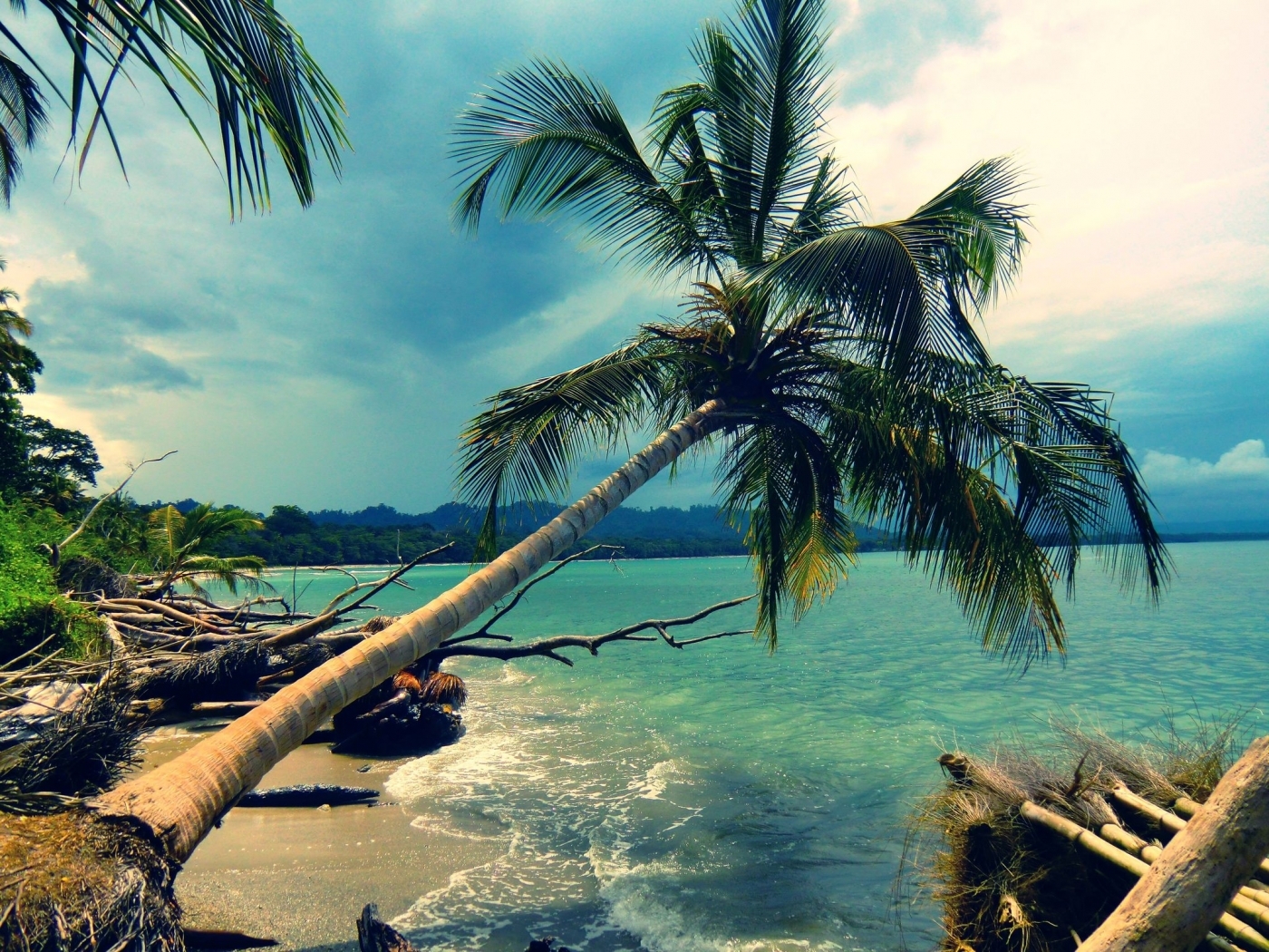 Скачать картинку Пейзаж, Пляж, Пальмы, Облака, Море в телефон бесплатно.