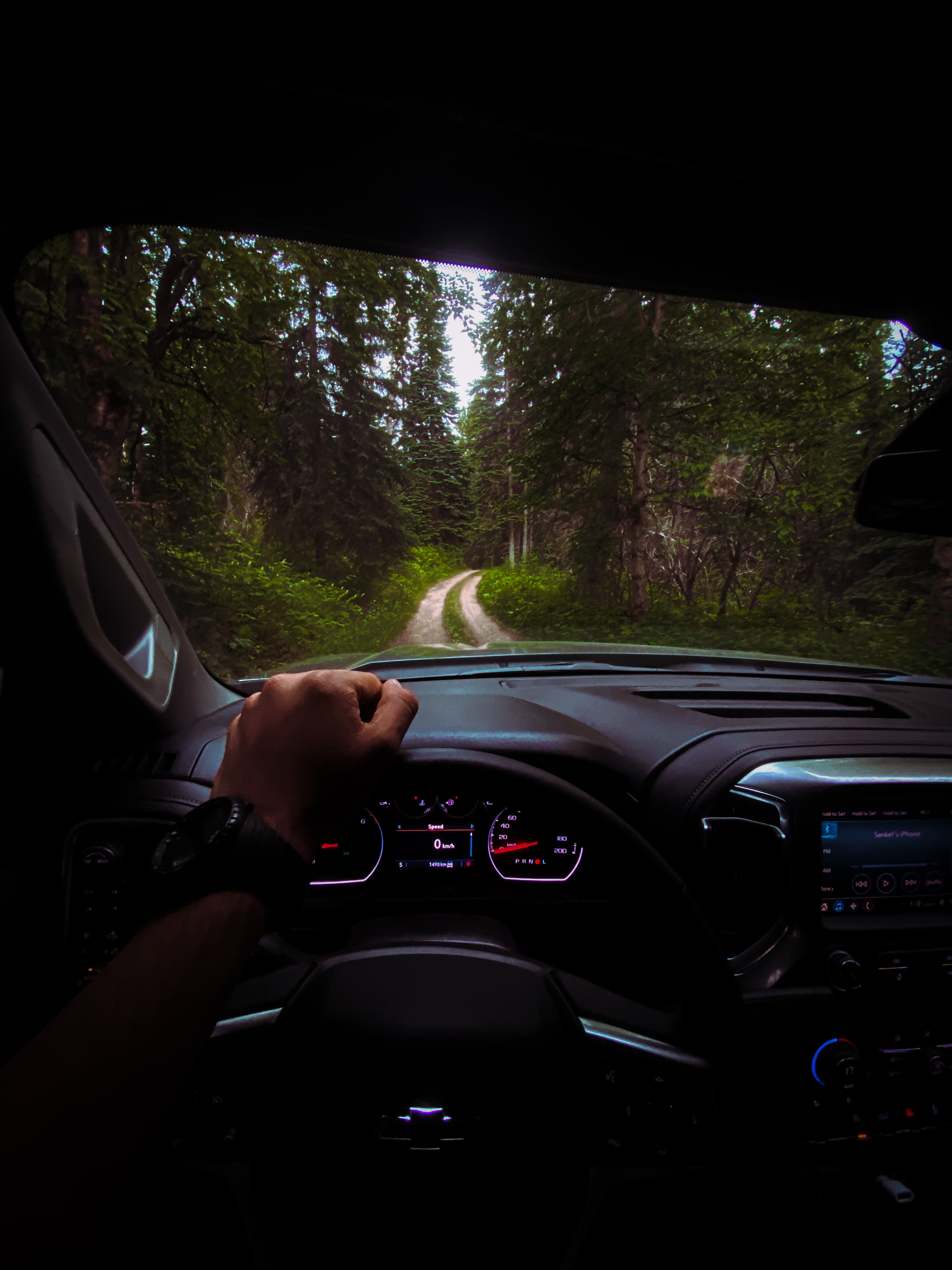 hand, steering wheel, chevrolet, cars, forest, car, machine, rudder 8K