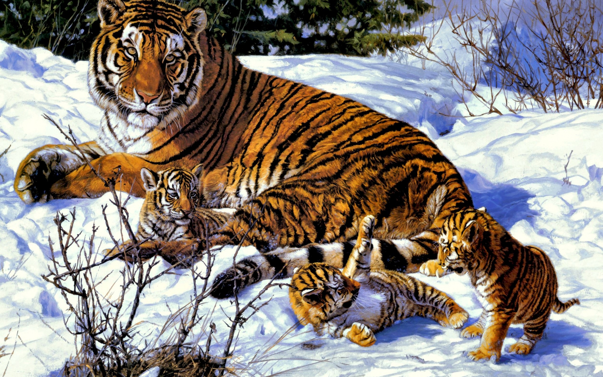 Завантажити шпалери Тигри на телефон безкоштовно