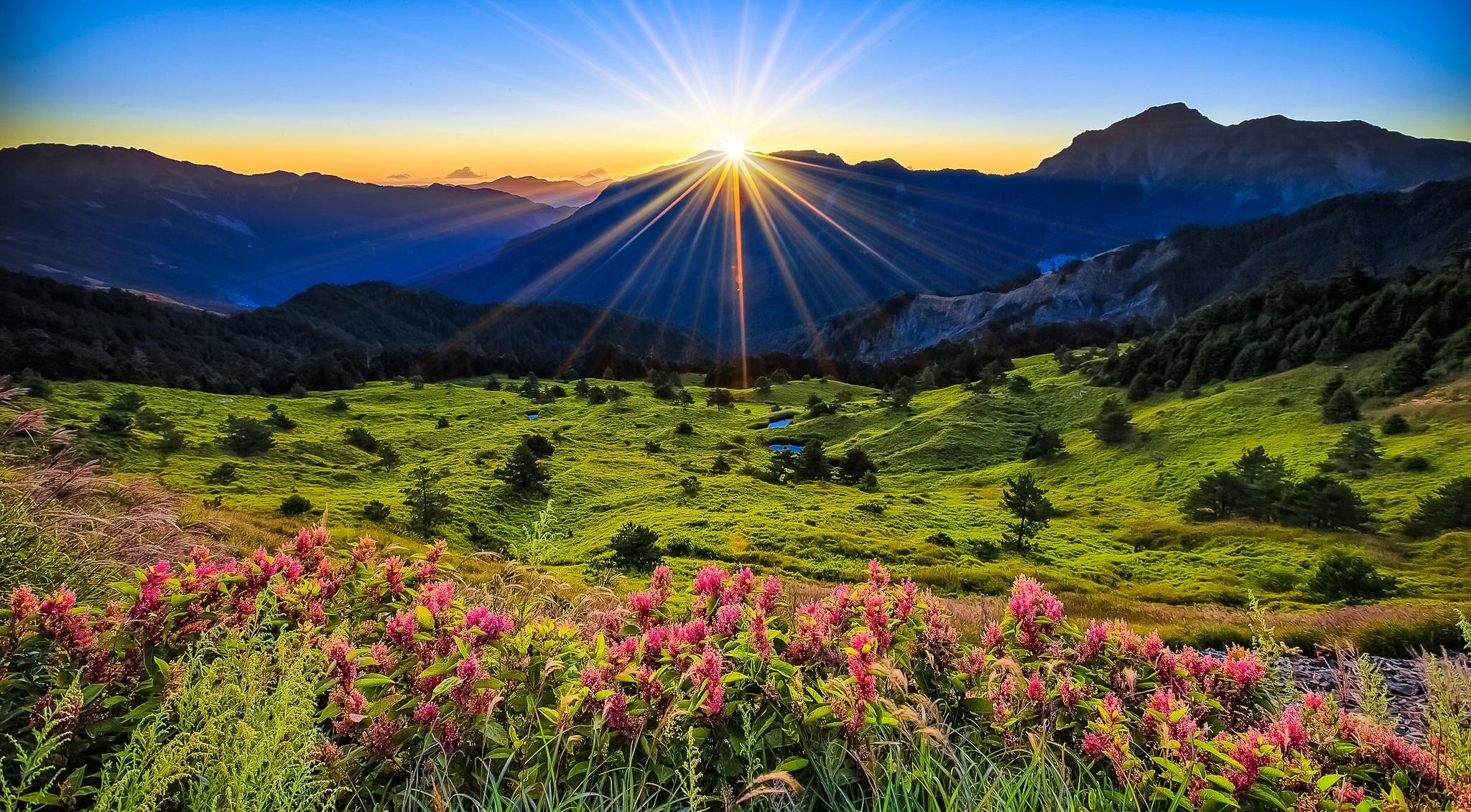 nature, mountains, flowers, dawn, glade, grass, polyana HD wallpaper