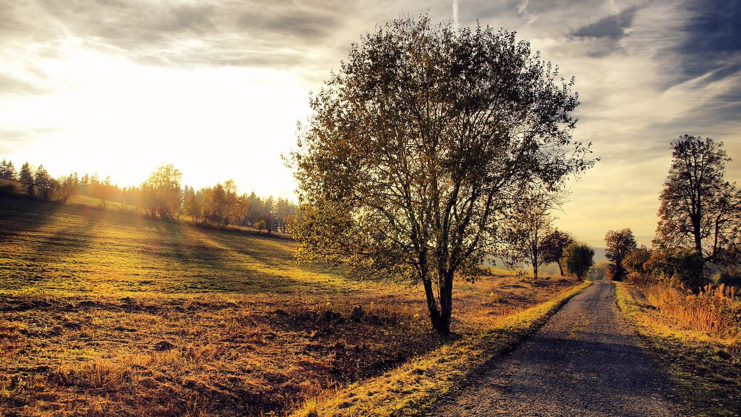 Ретро природа. Пейзаж. Сельская дорога. Осень дорога в деревне. Пейзаж дорога деревья.