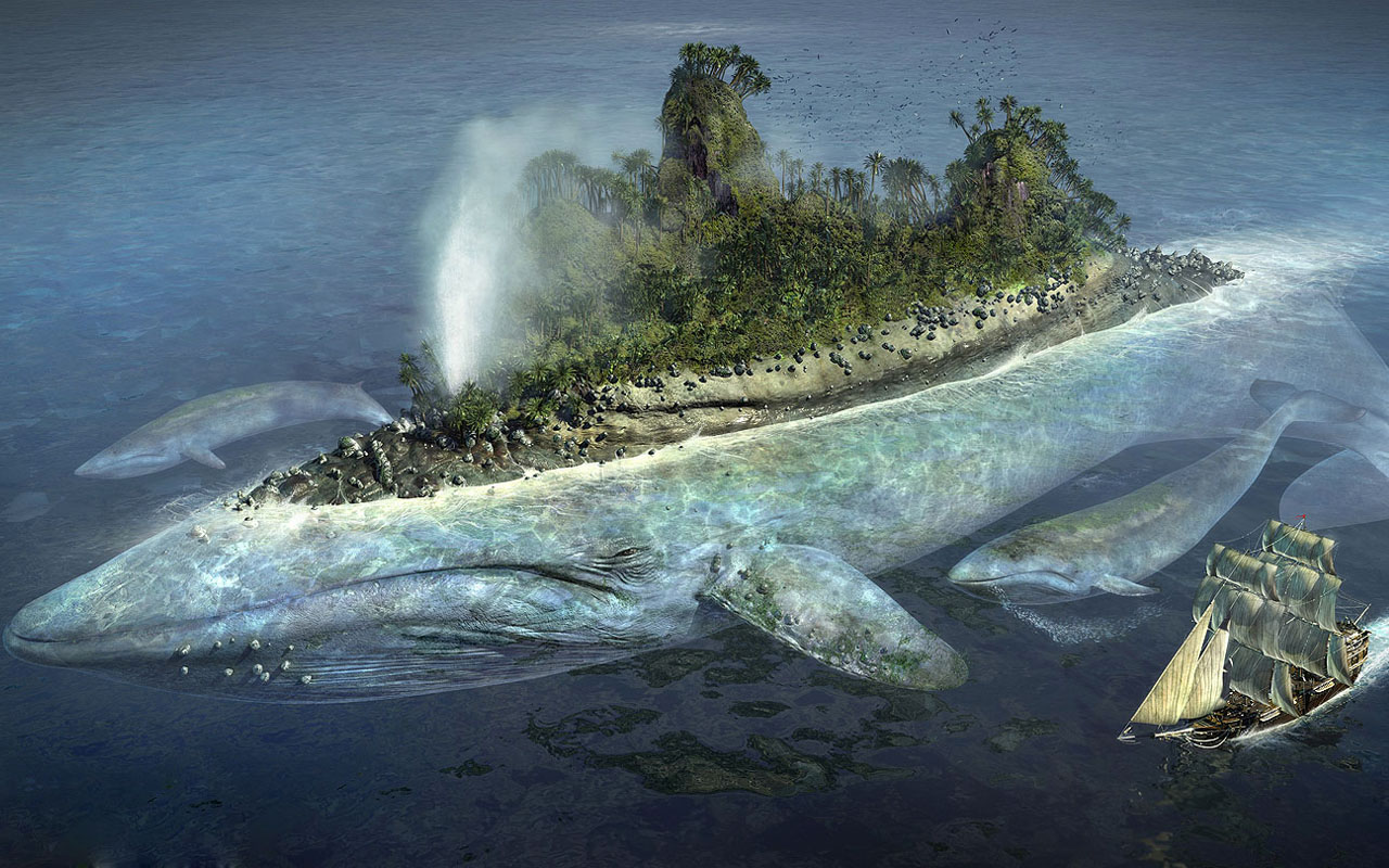 1434503 baixar papel de parede baleia, fantasia, ilha, oceano - protetores de tela e imagens gratuitamente