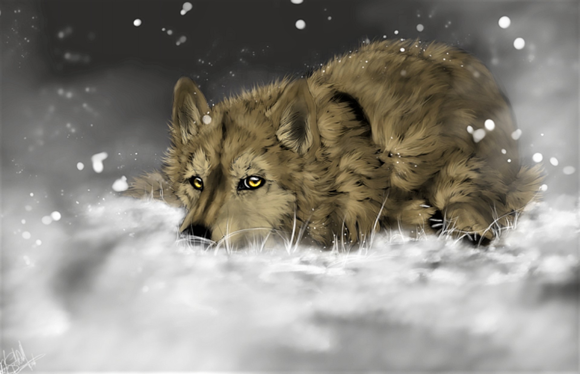 Волк дождь