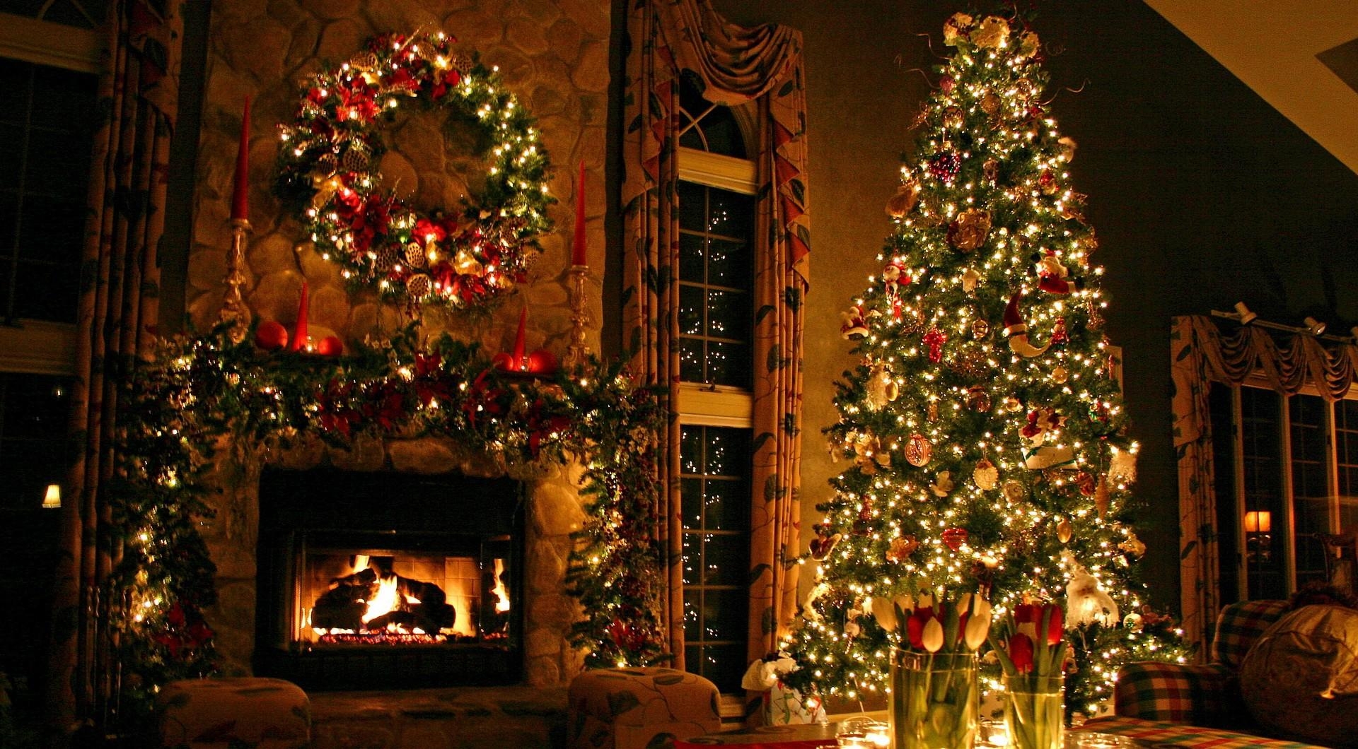 holidays, comfort, christmas decorations, flowers, decorations, holiday, house, christmas tree toys, christmas tree, coziness, fireplace Smartphone Background