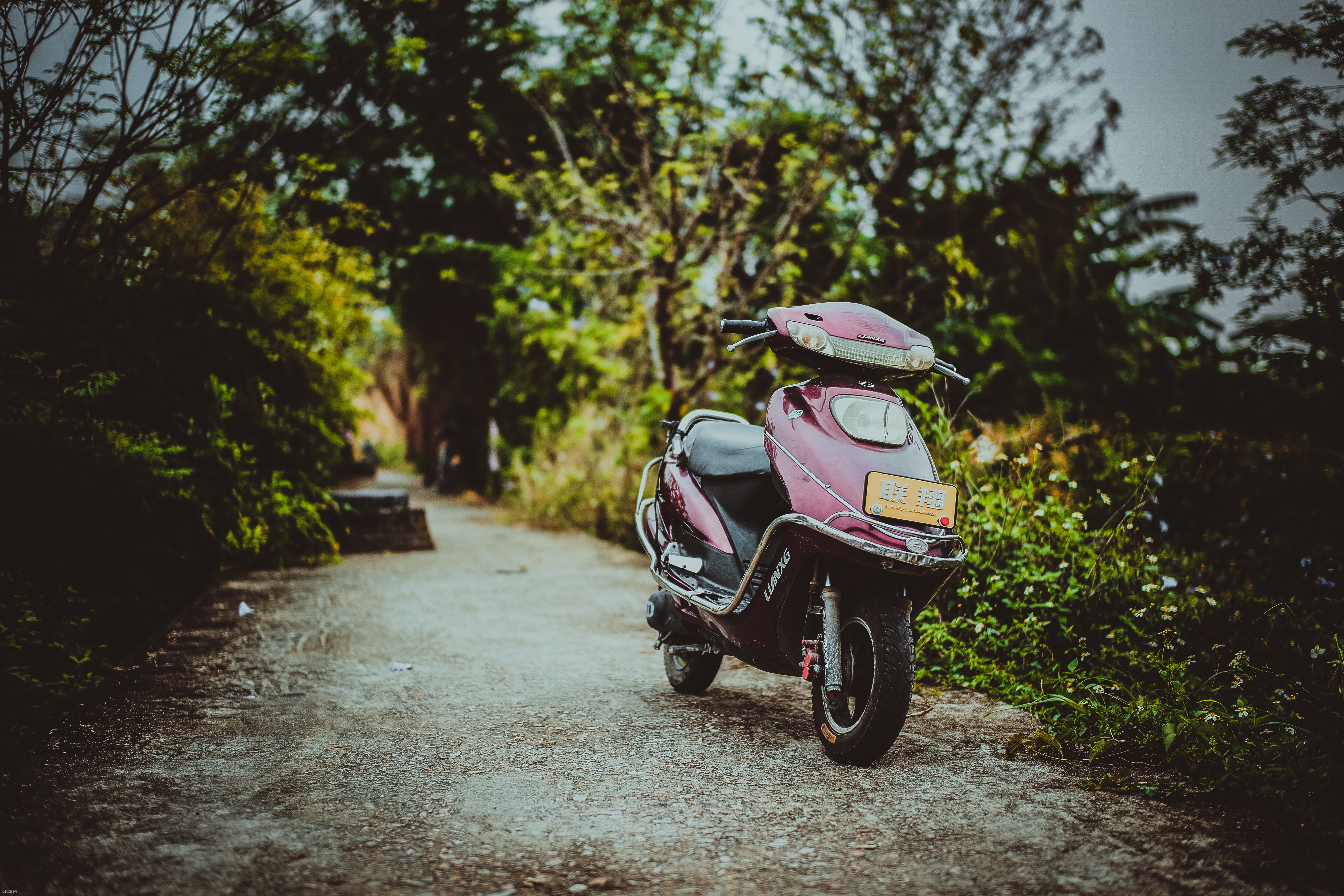 140854 descargar imagen motocicletas, vista frontal, scooter, patinete, moto, ciclomotor: fondos de pantalla y protectores de pantalla gratis
