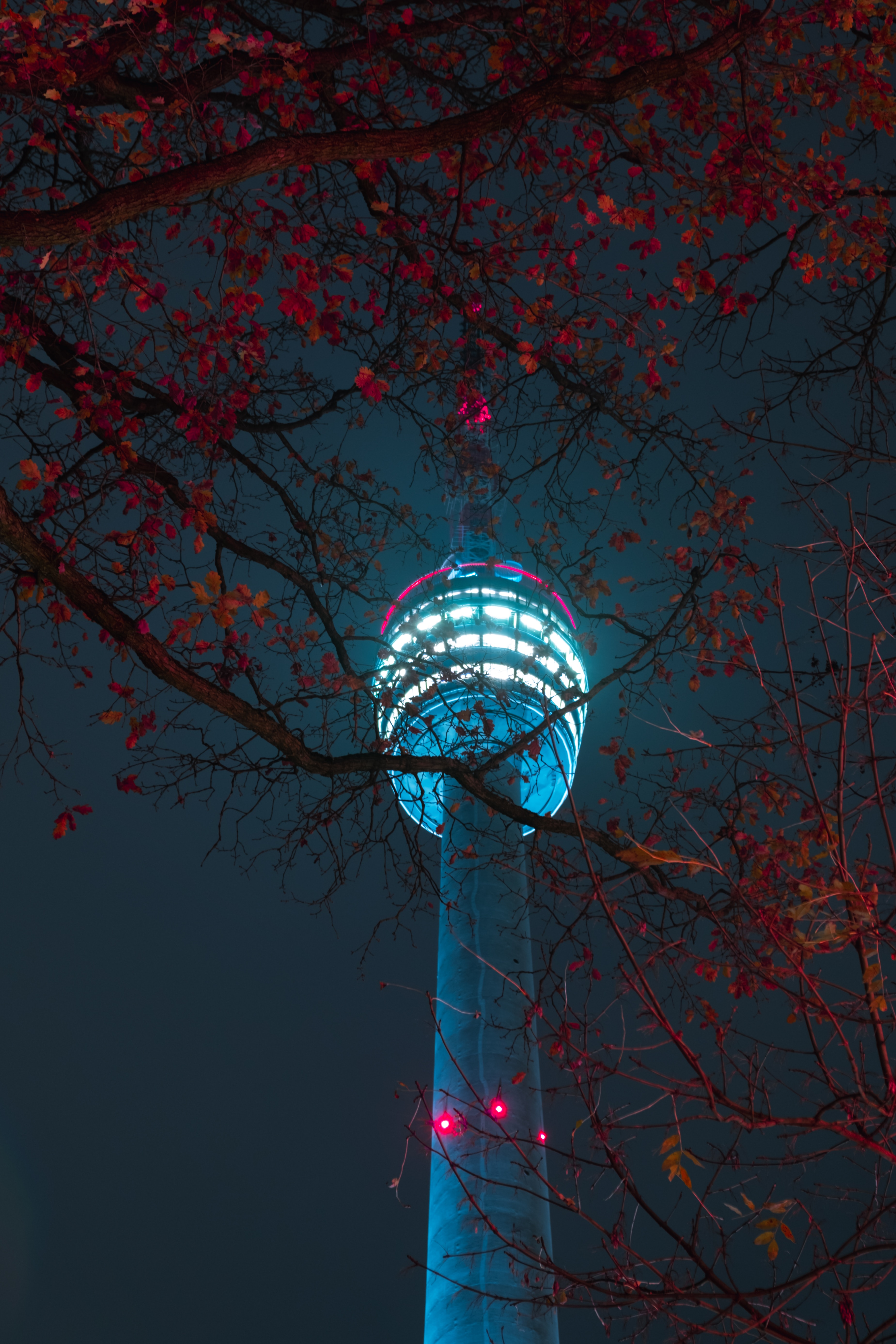 Download mobile wallpaper Night, Branches, Building, Tower, Shine, Light, Dark for free.