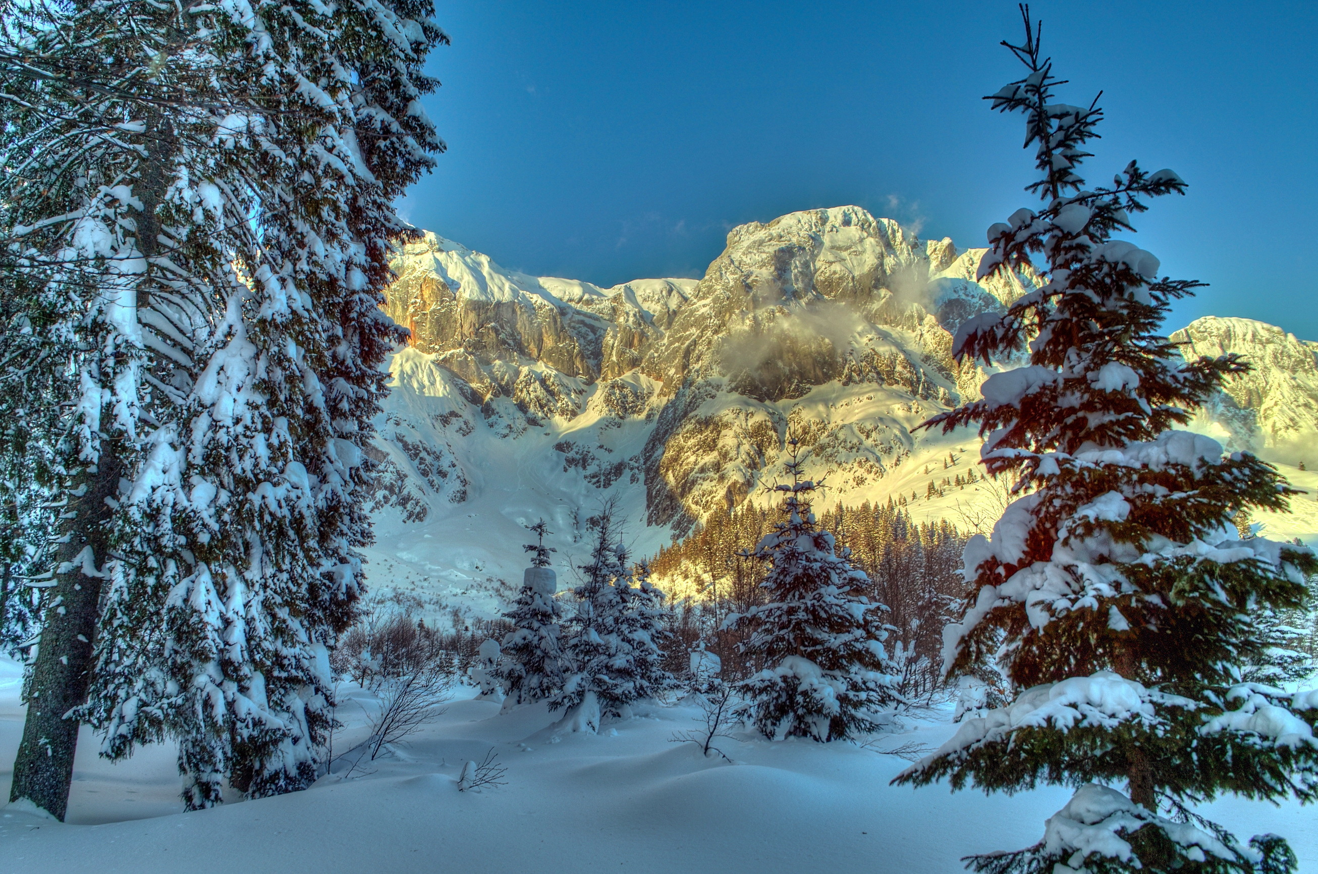 austria, mountains, snow, winter, nature, trees, alps, spruce, fir