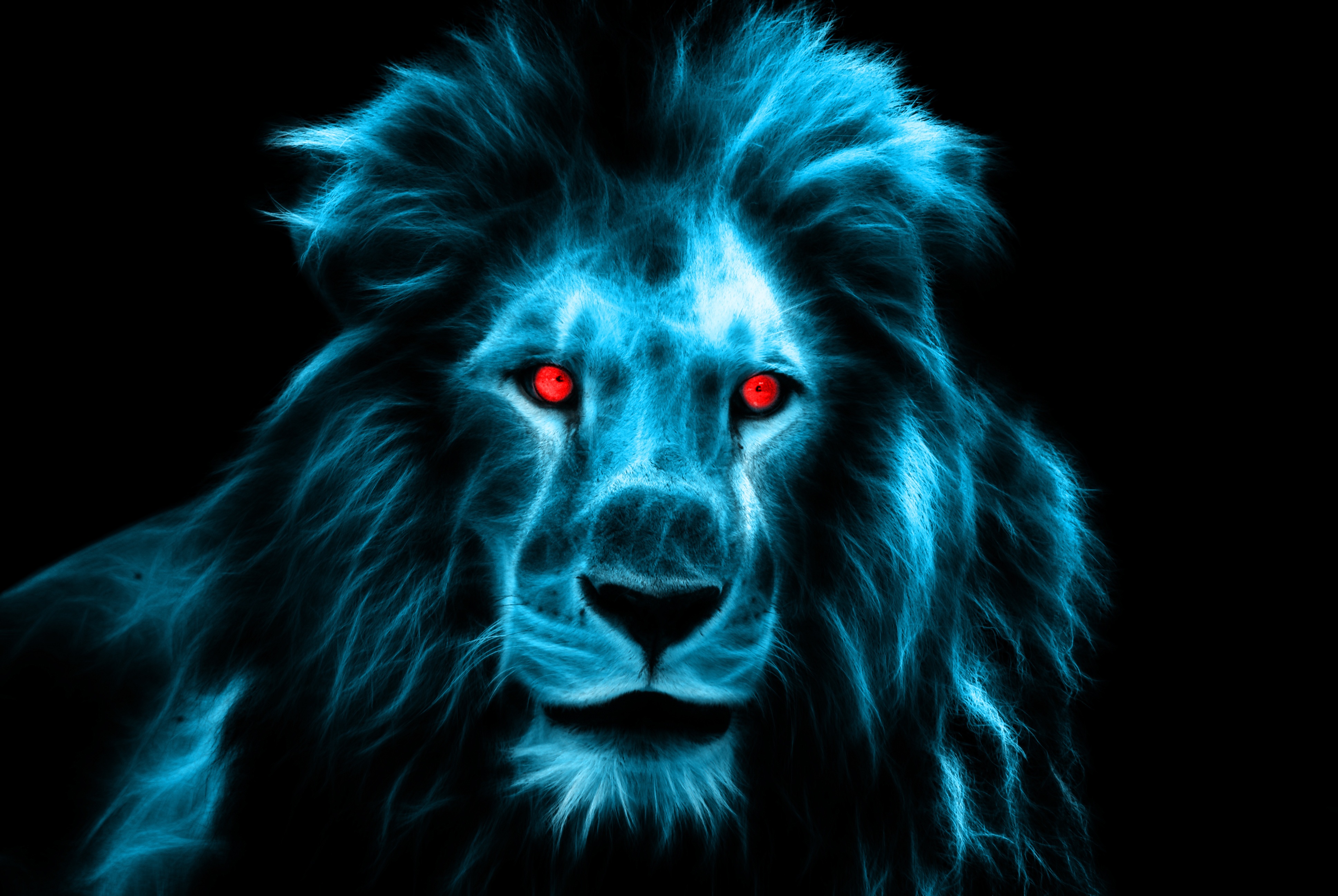 lion, eyes, animals, predator, big cat, mane QHD