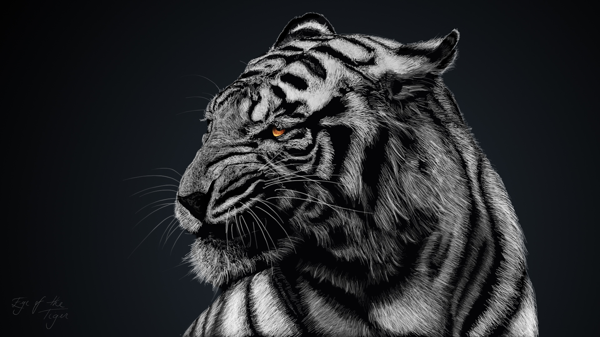 Mobile wallpaper black & white, tiger, cats, animal, white tiger