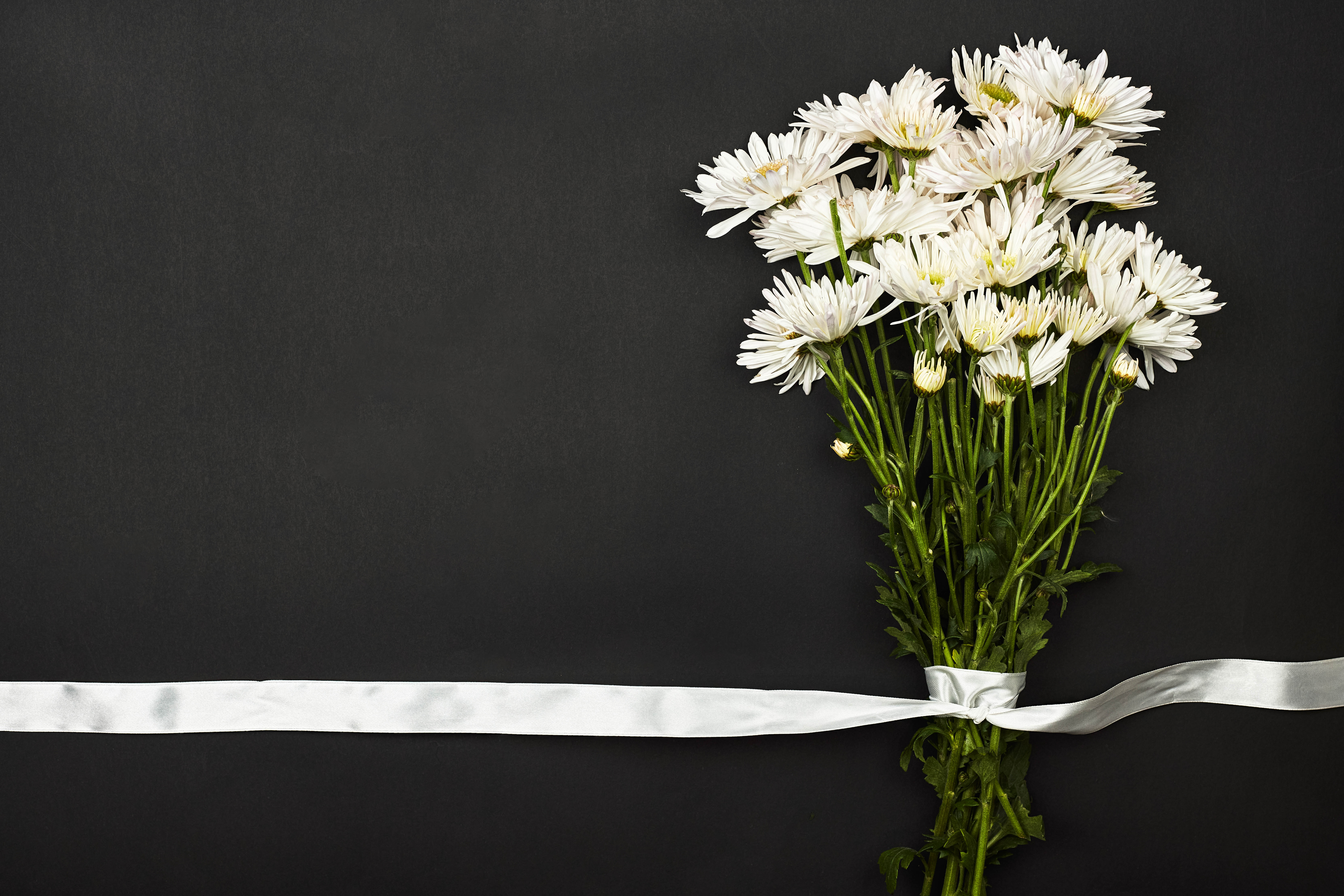 bouquet, flowers, white, tape HD wallpaper