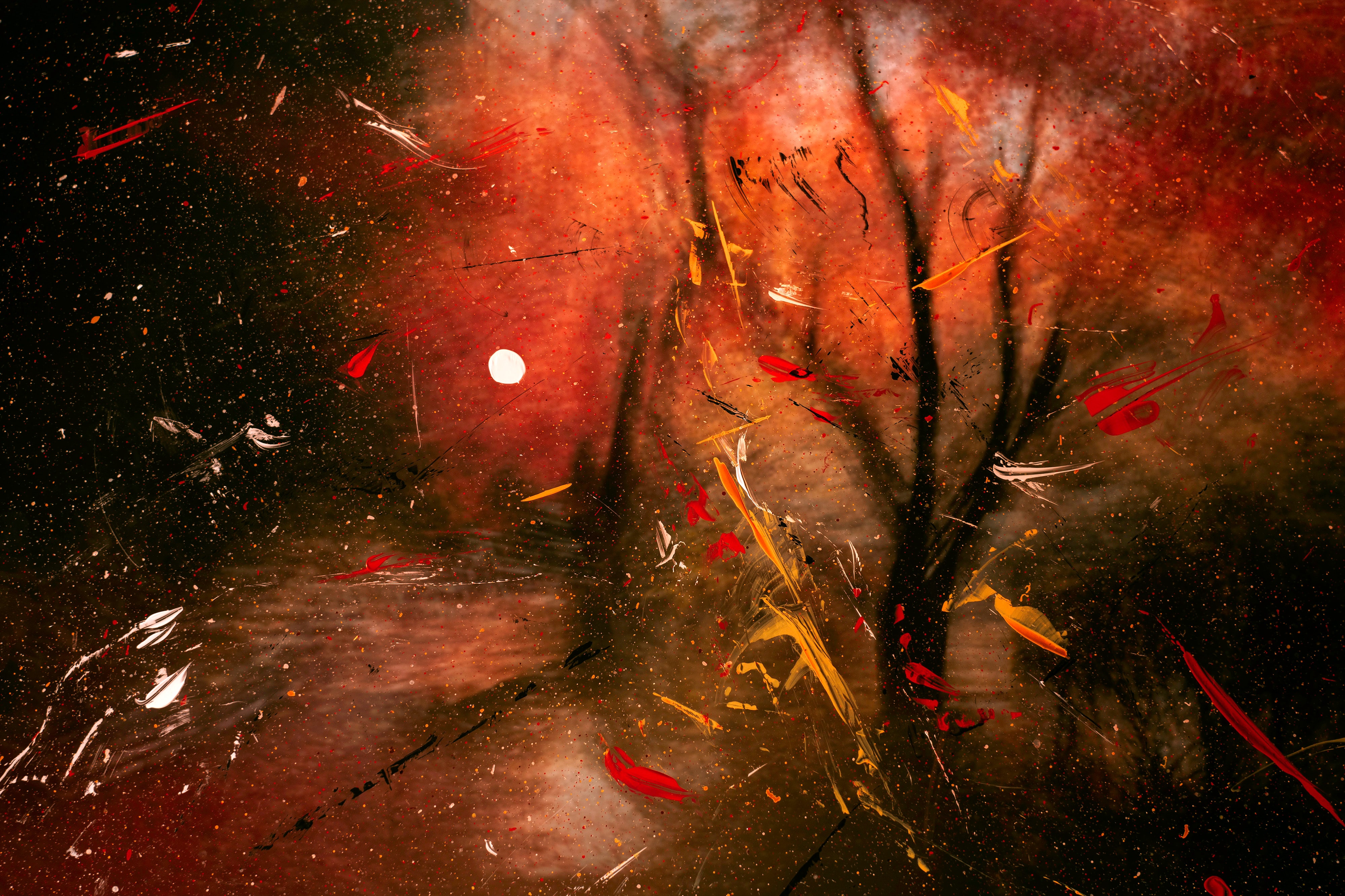 spray, abstract, trees, blur, smooth, paint, glass