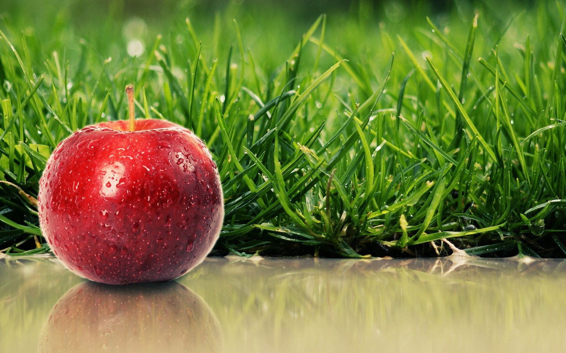 food, grass, apple, red, ripe HD wallpaper