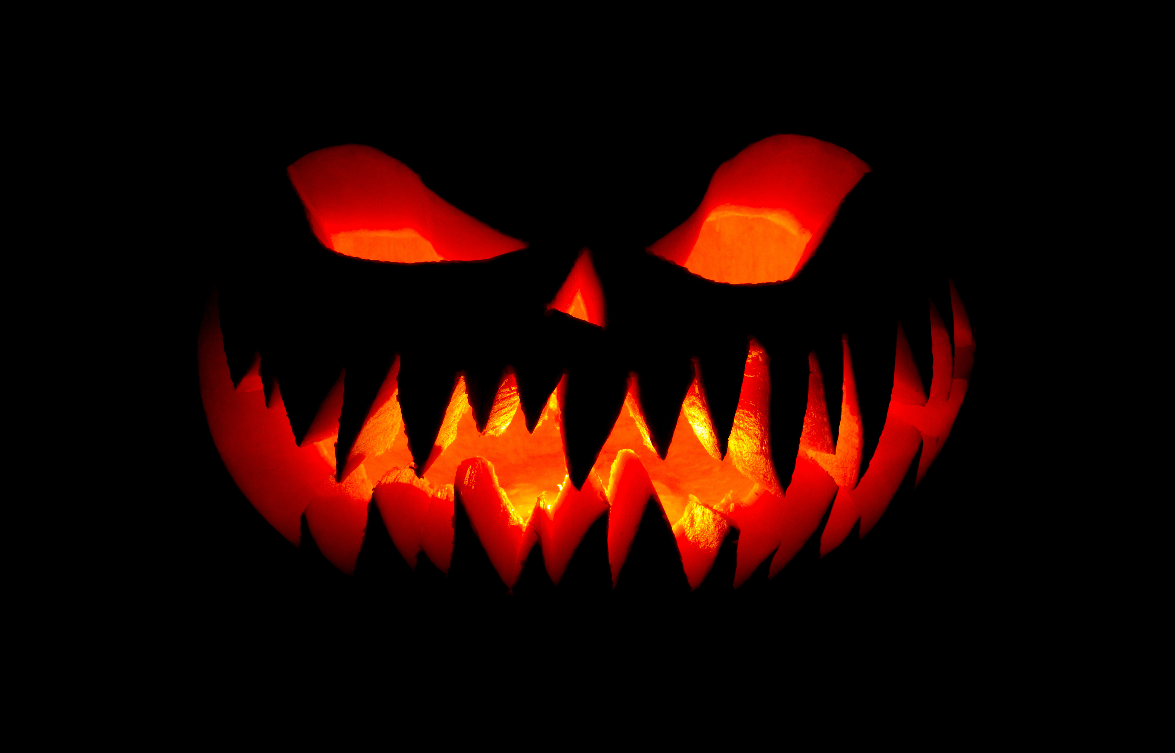 Download mobile wallpaper Halloween, Holiday, Jack O' Lantern for free.