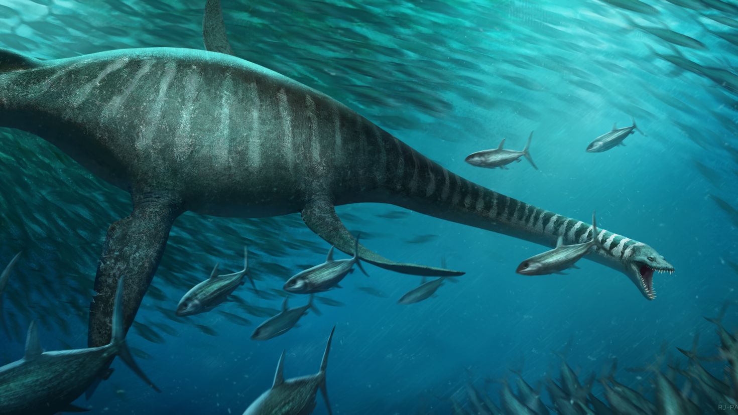 Динозавр жил в воде. Эласмозавр. Elasmosaurus platyurus. Эласмозавр динозавр. Динозавры морские Плезиозавр.