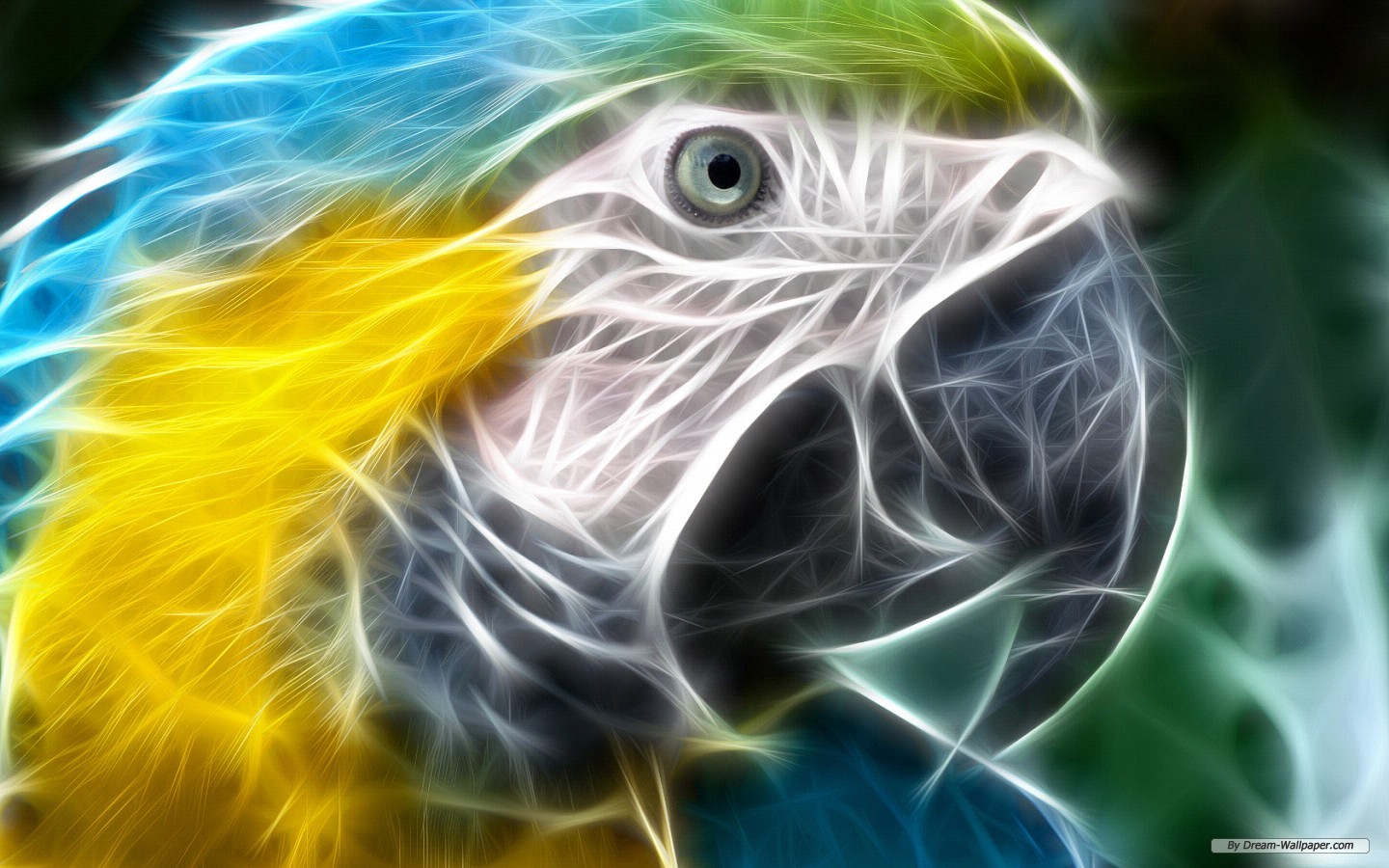 animal, blue and yellow macaw, parrot, birds phone background