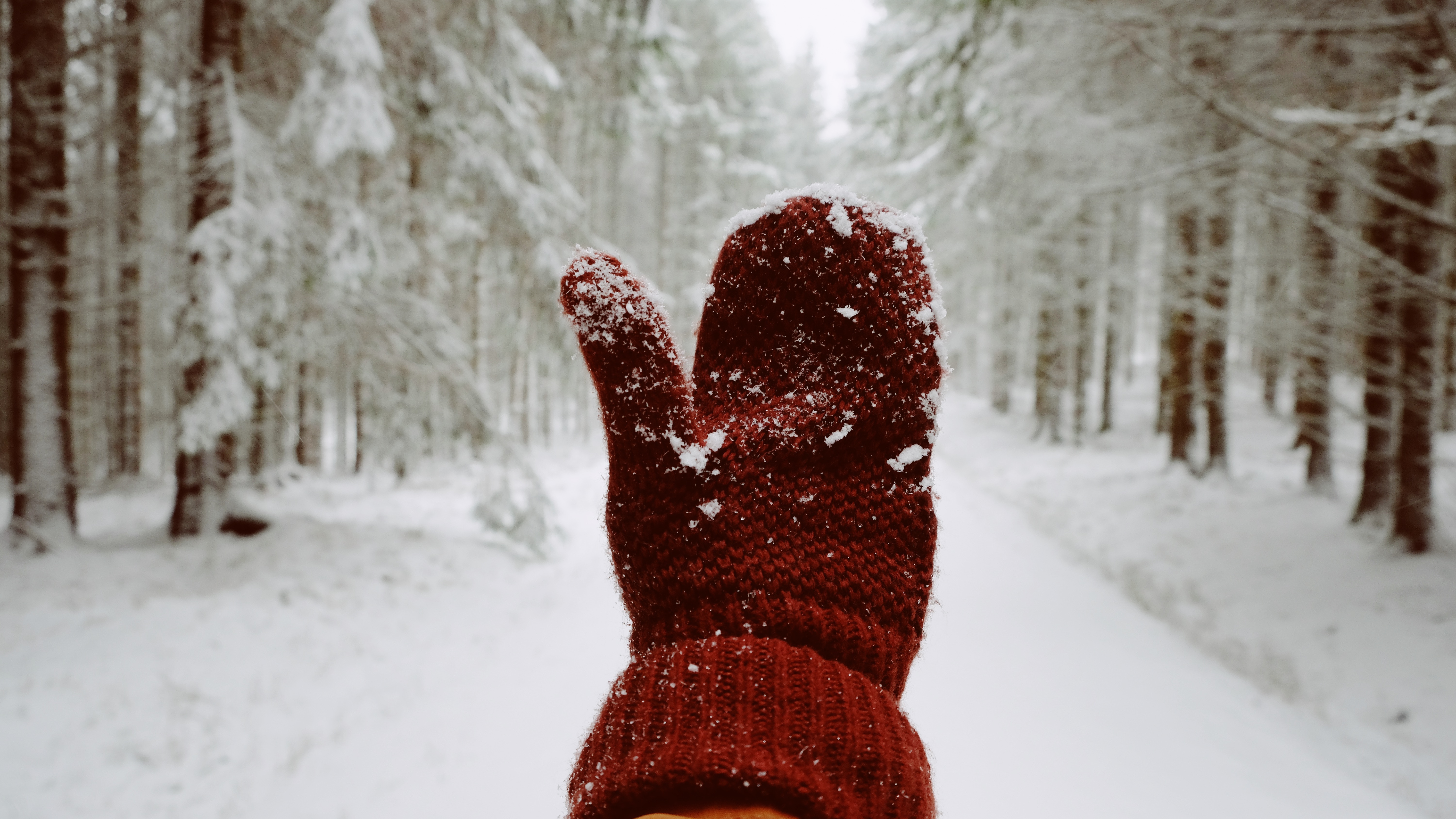 winter, snow, hand, miscellanea, miscellaneous, mitten