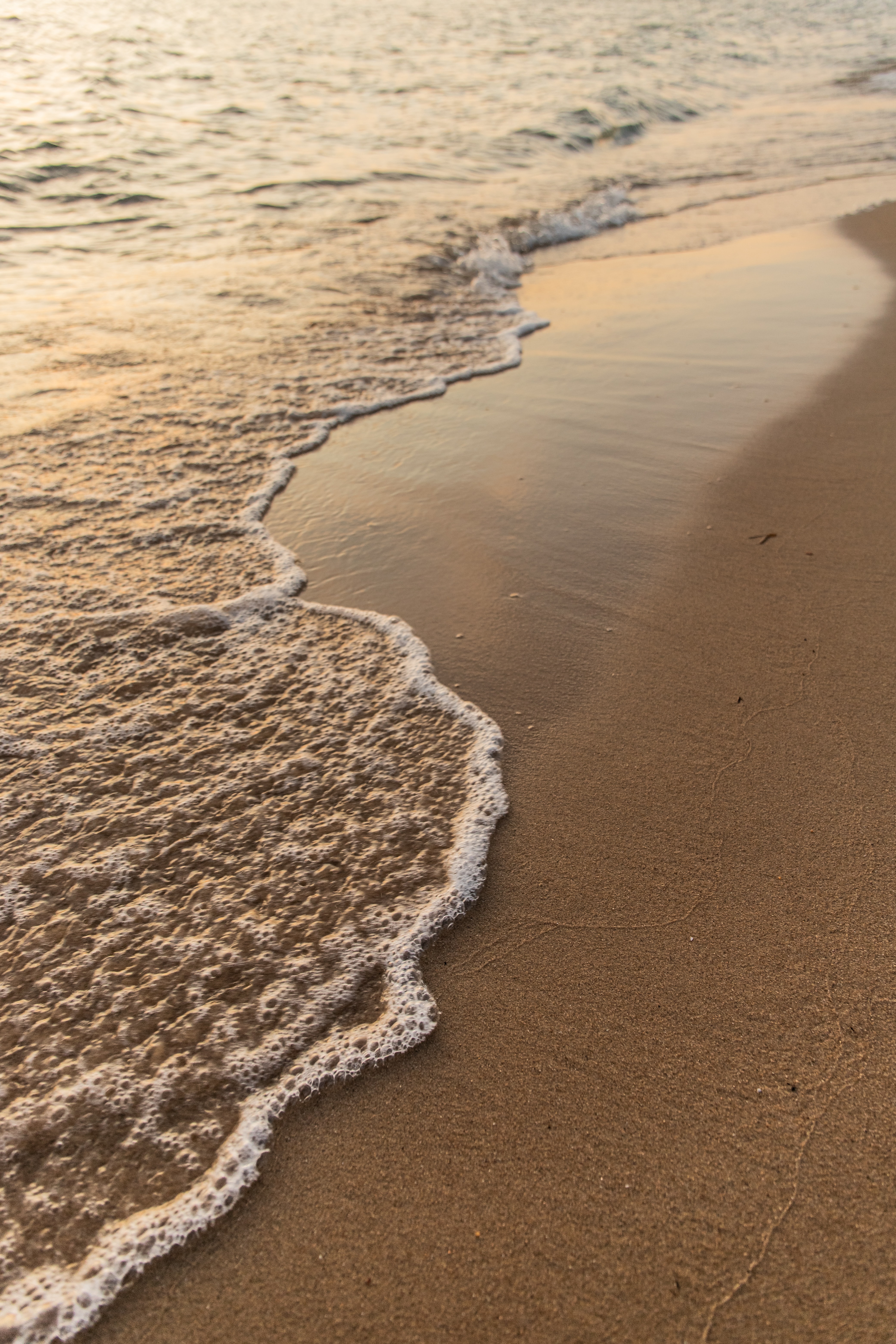 wave, nature, water, sea, beach, sand HD wallpaper