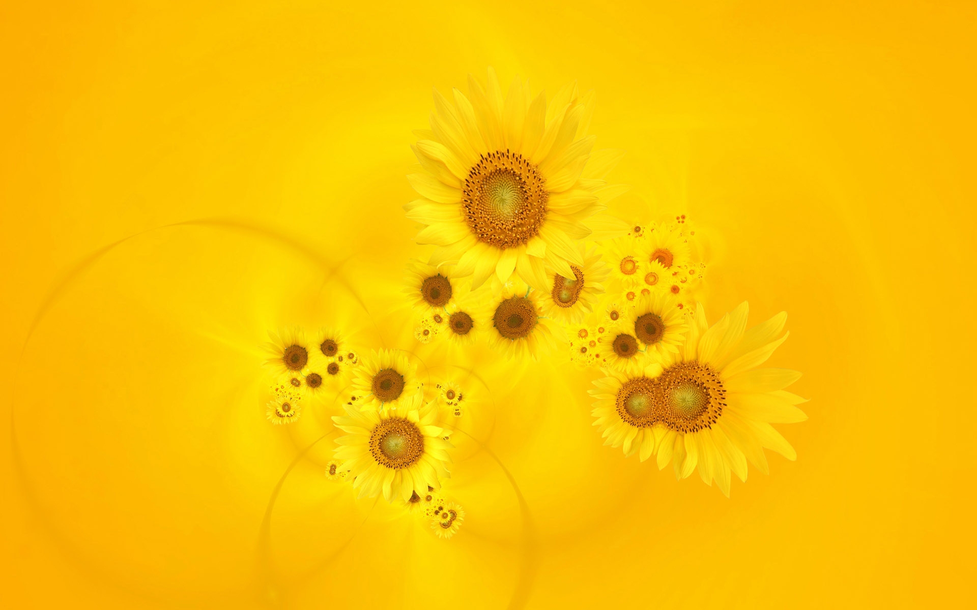 sunflowers, flowers, background, yellow Aesthetic wallpaper