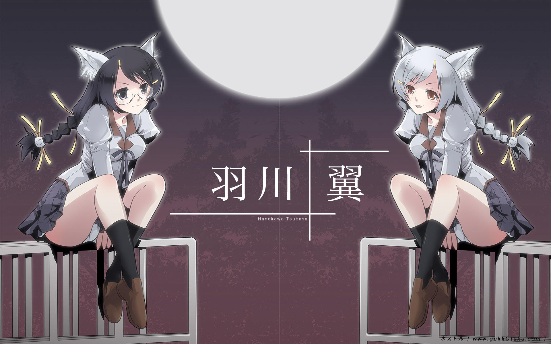 anime, monogatari (series), black hanekawa, cat girl, nekomonogatari: kuro, tsubasa hanekawa HD wallpaper