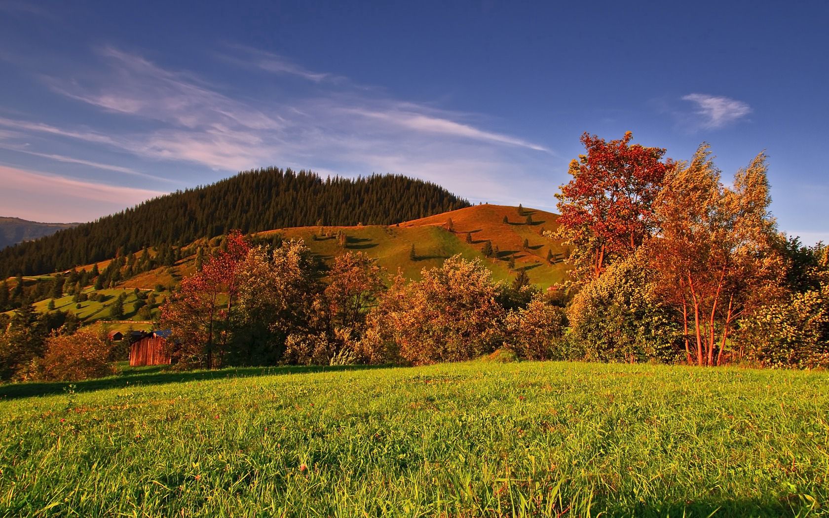 Handy-Wallpaper Bäume, Sky, Natur, Grass, Feld, Herbst kostenlos herunterladen.