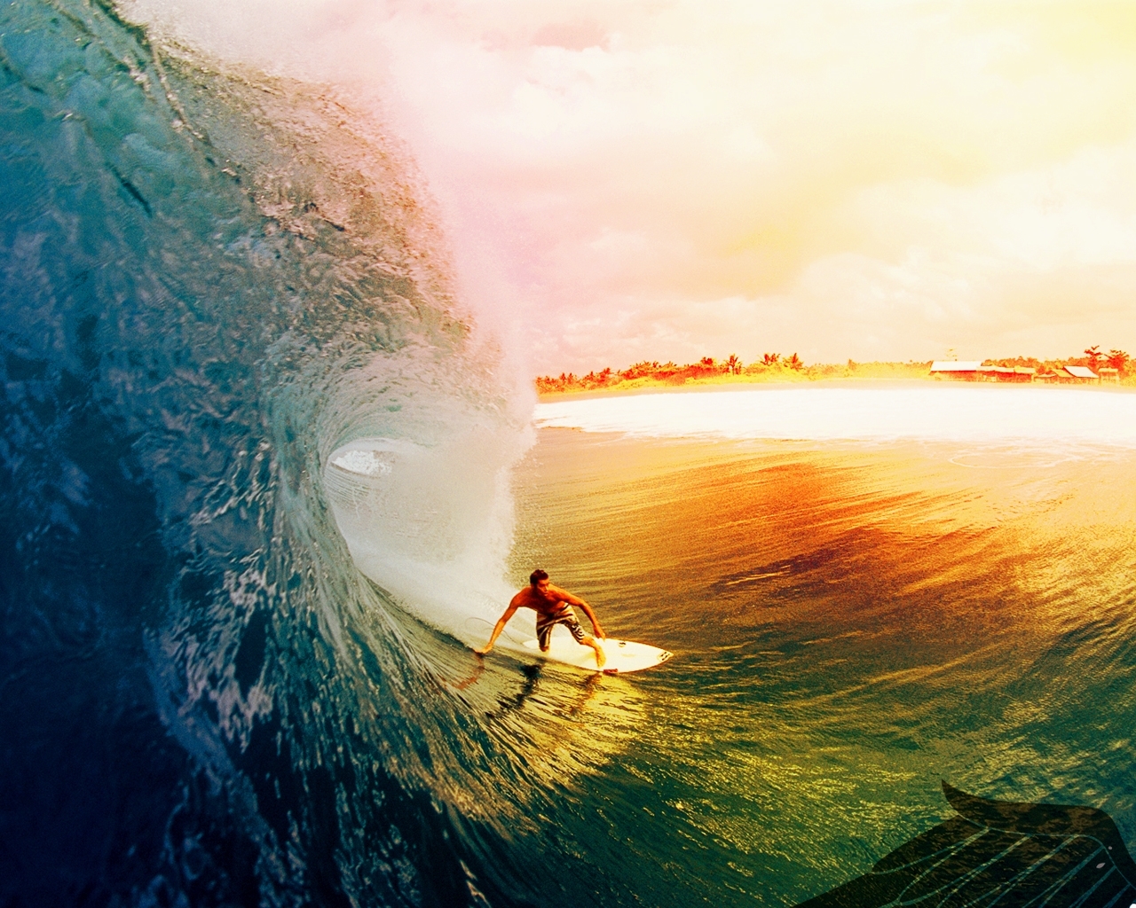 2022 Salvapantallas y fondos de pantalla Surfing en tu teléfono. Descarga imágenes de  gratis