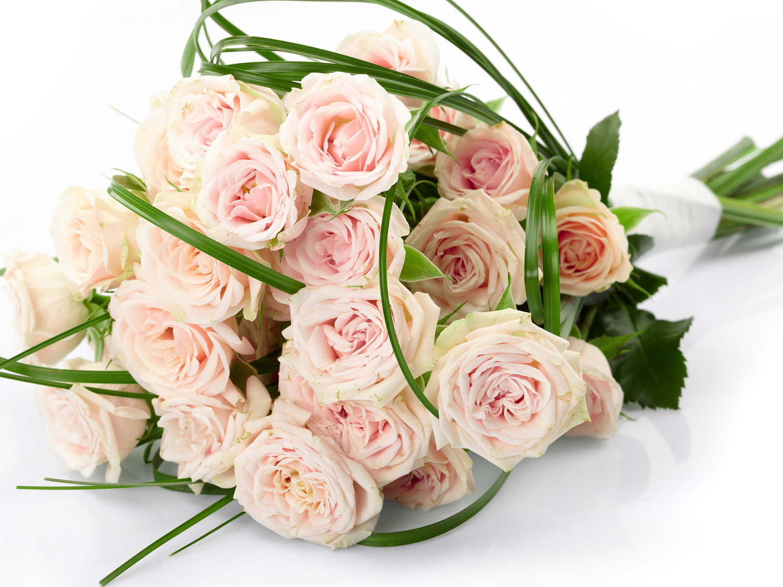 37144 Hintergrundbild herunterladen roses, pflanzen, blumen, bouquets - Bildschirmschoner und Bilder kostenlos
