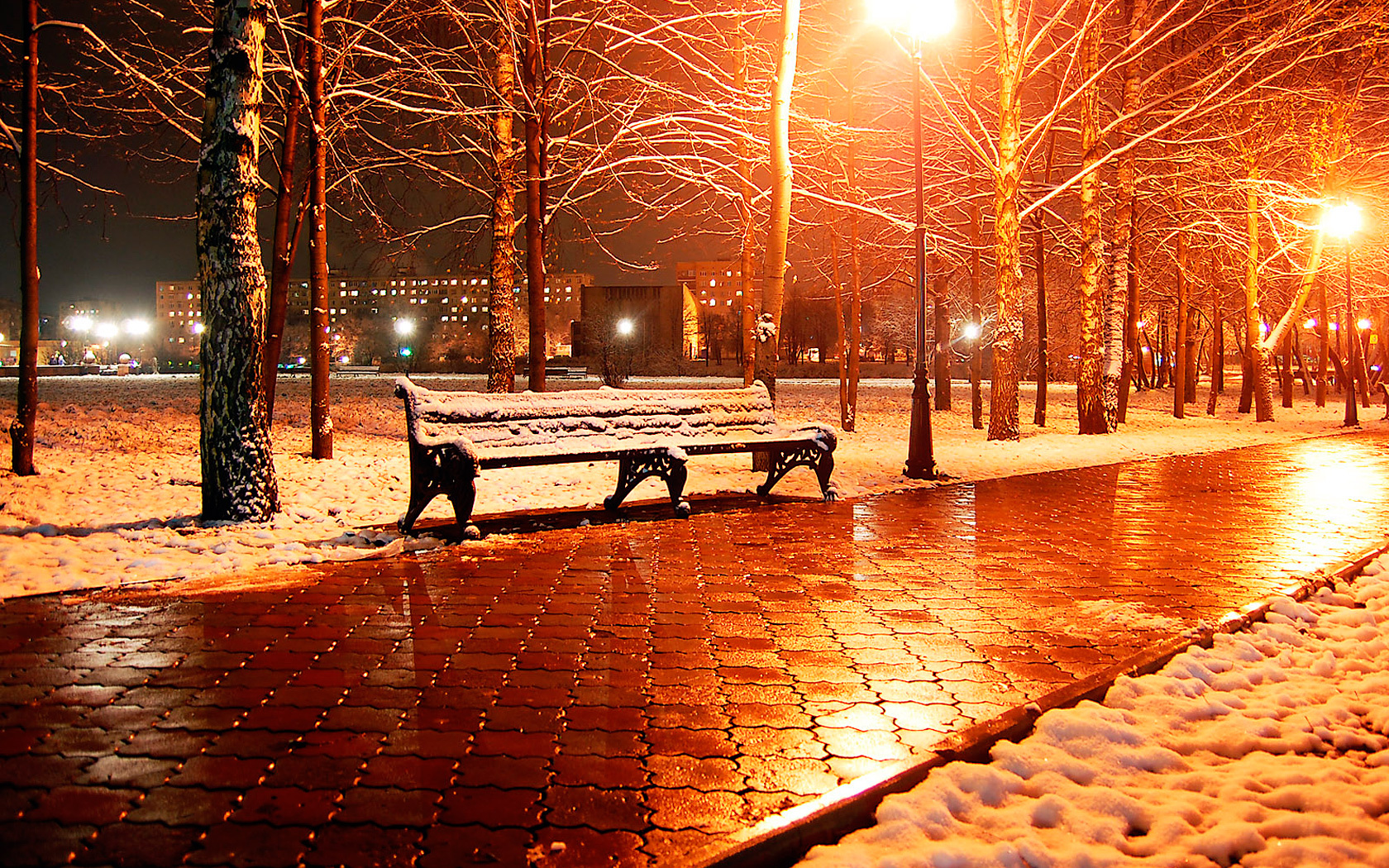 landscape, winter, trees, streets, night, snow, orange cellphone