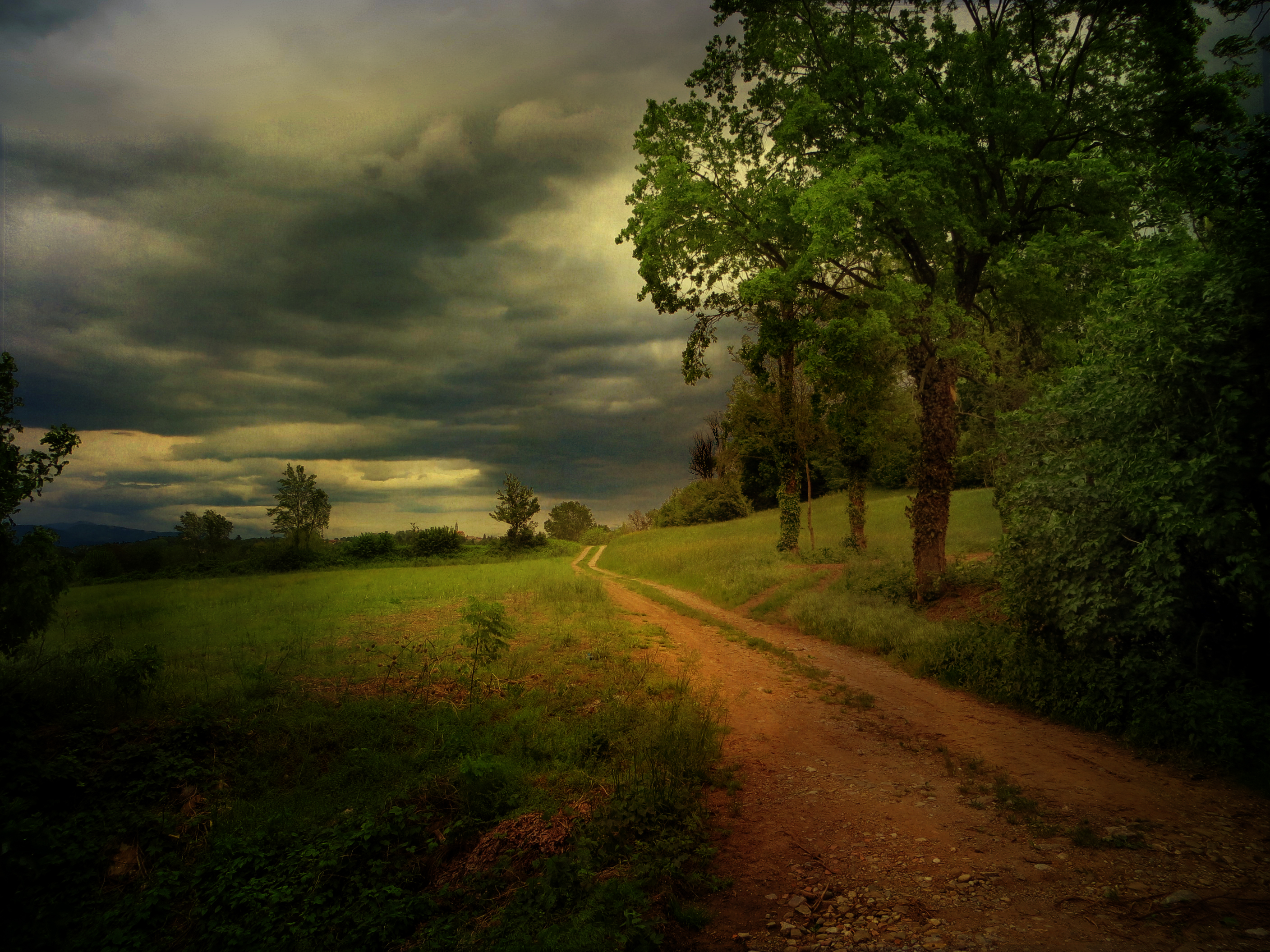 cloud, sunset, country, nature, road, man made, dirt road, path, tree HD wallpaper