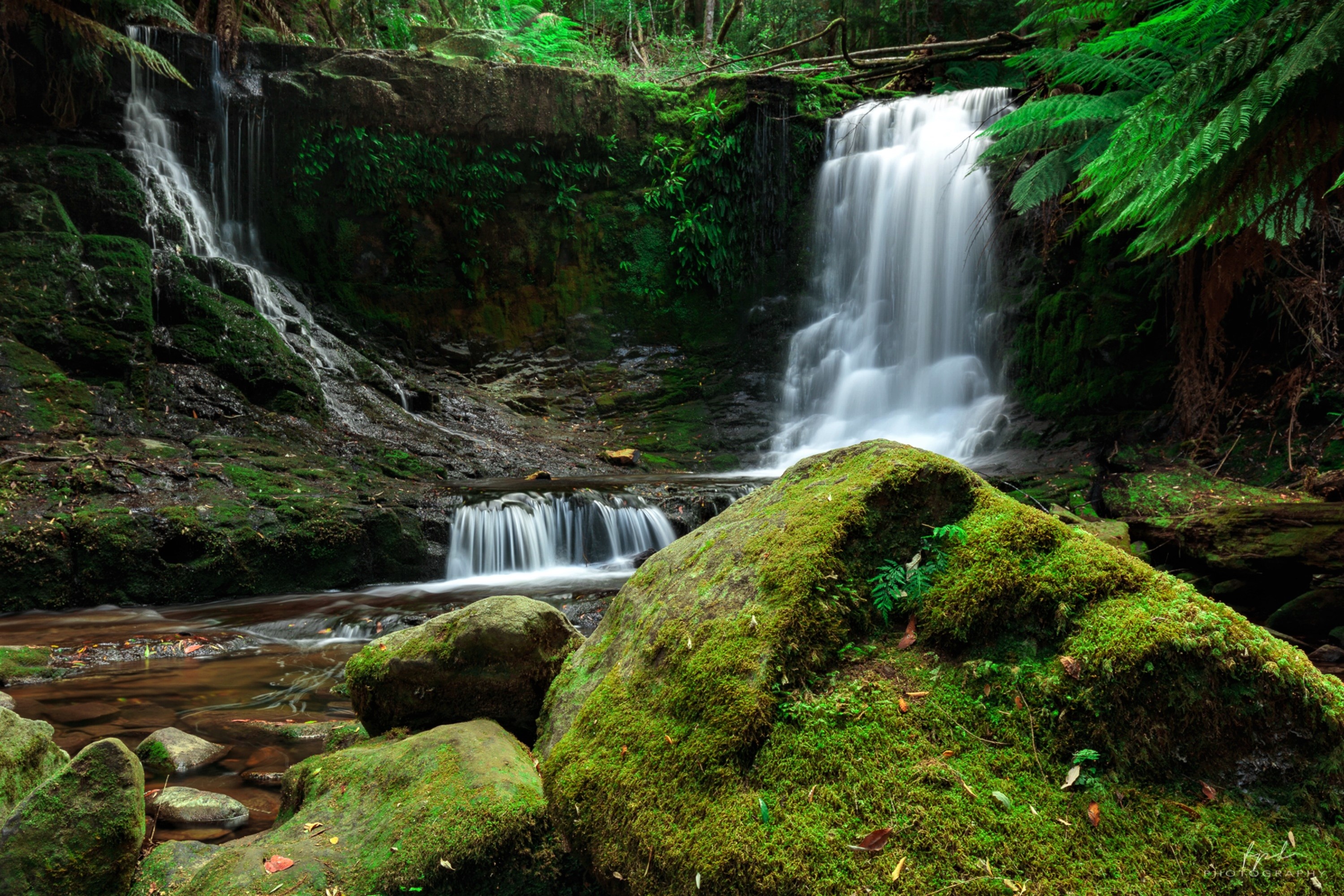 Download mobile wallpaper Waterfalls, Waterfall, Earth, Moss, Greenery for free.