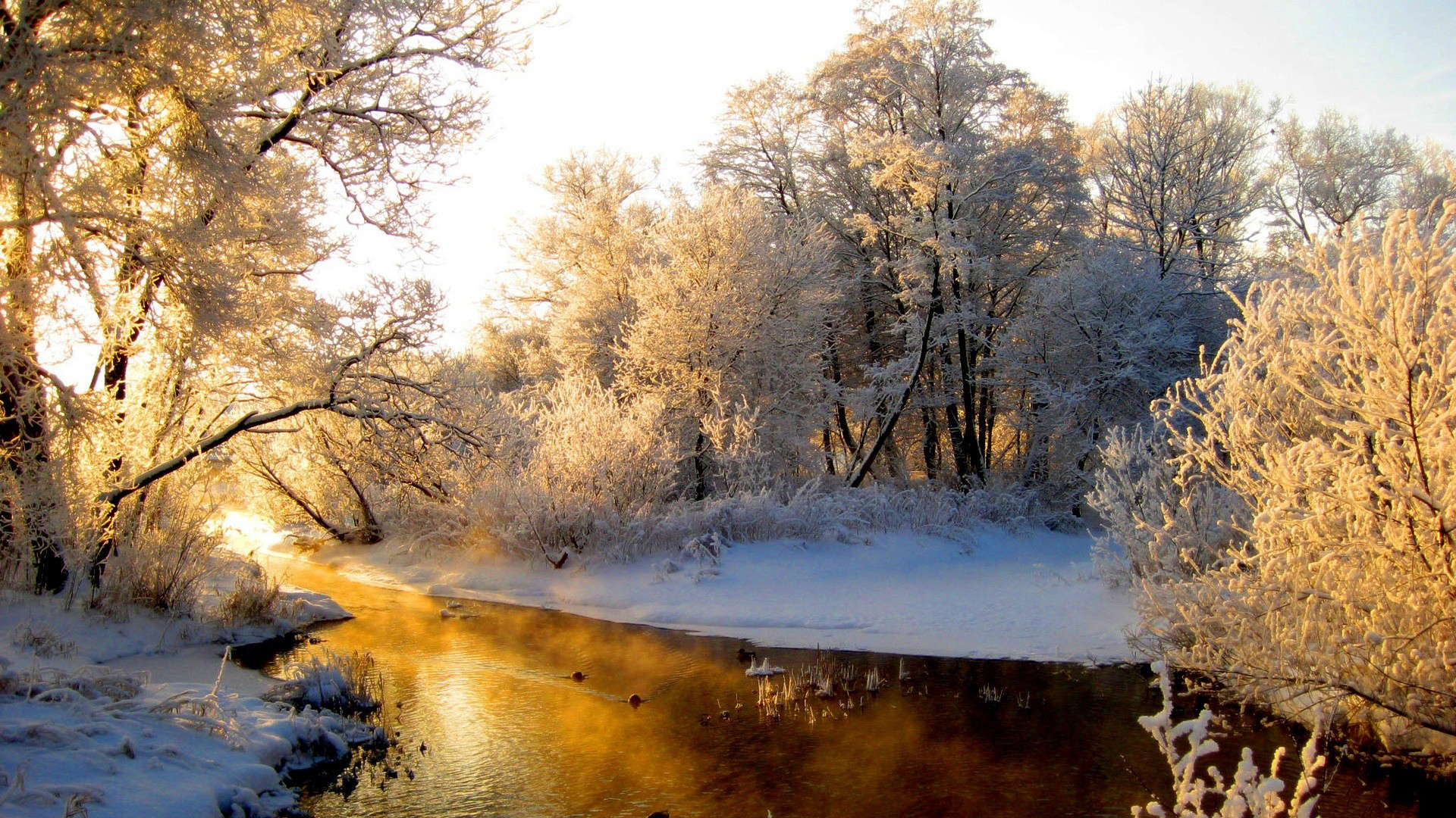 44417 télécharger l'image hiver, neige, paysage, nature - fonds d'écran et économiseurs d'écran gratuits