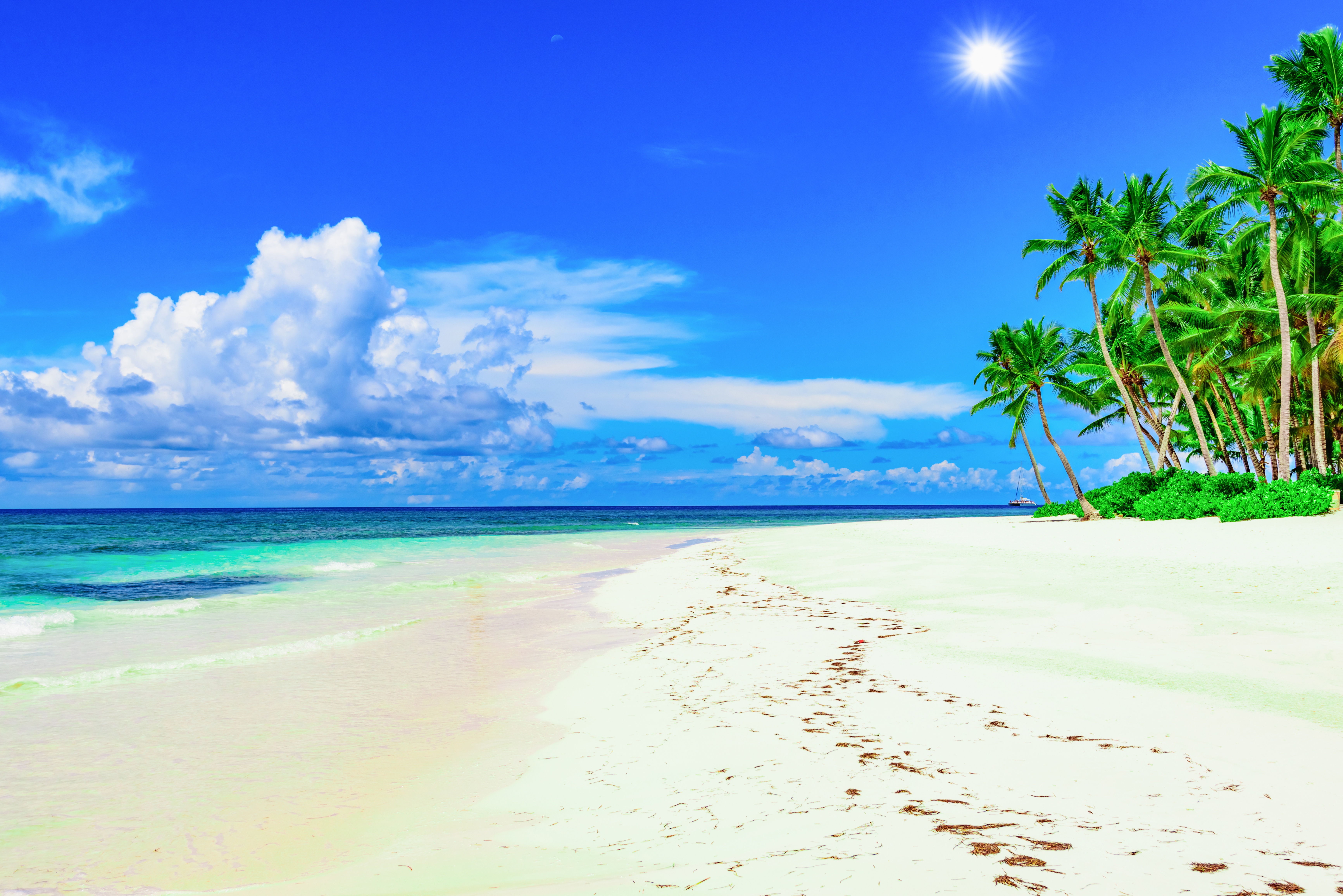 красивый пляж с пальмами