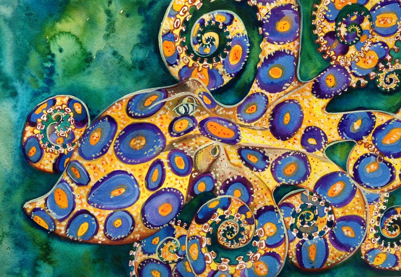 animal, blue ringed octopus, octopus mobile wallpaper
